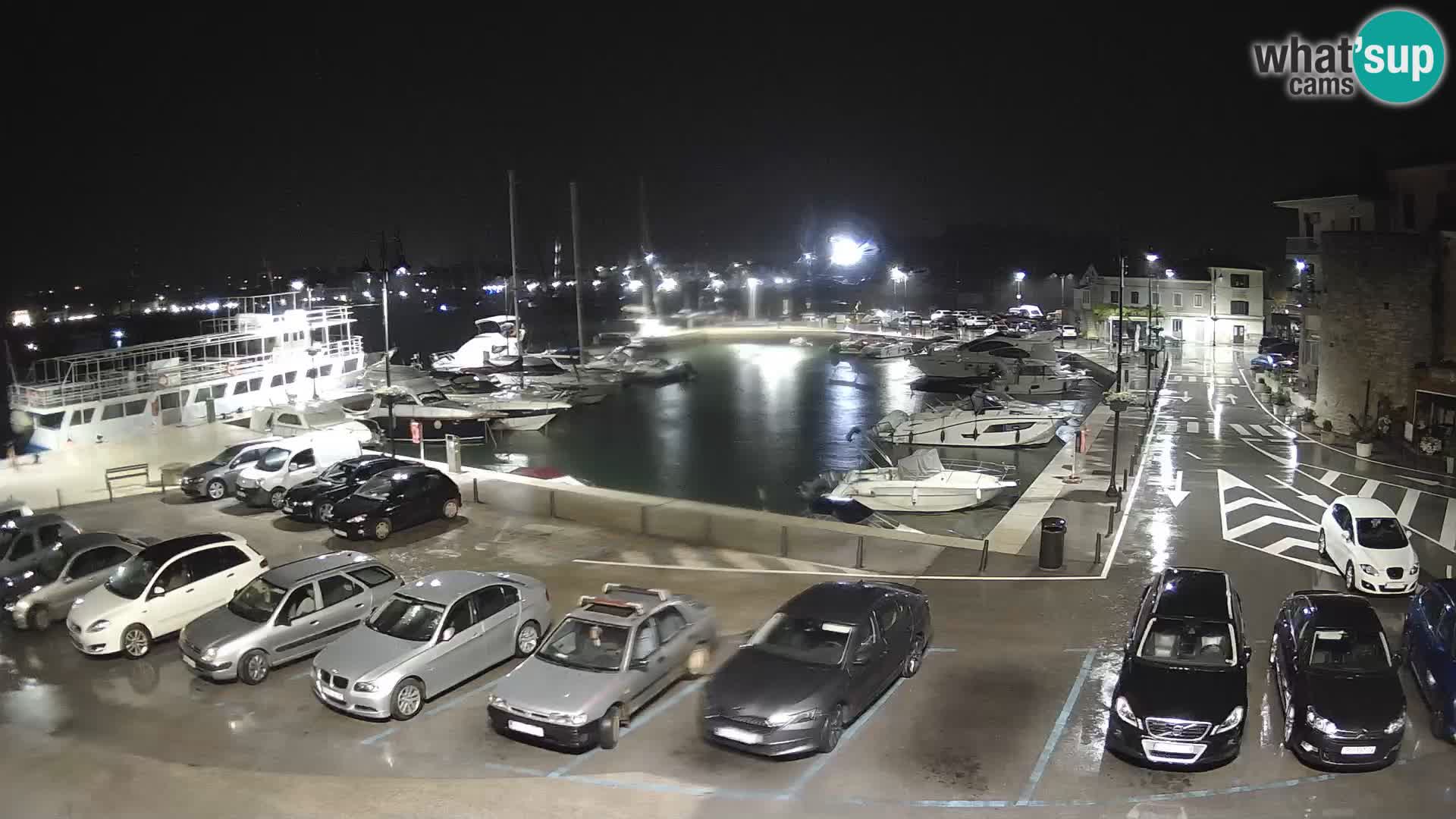 Novigrad | Porporela marina