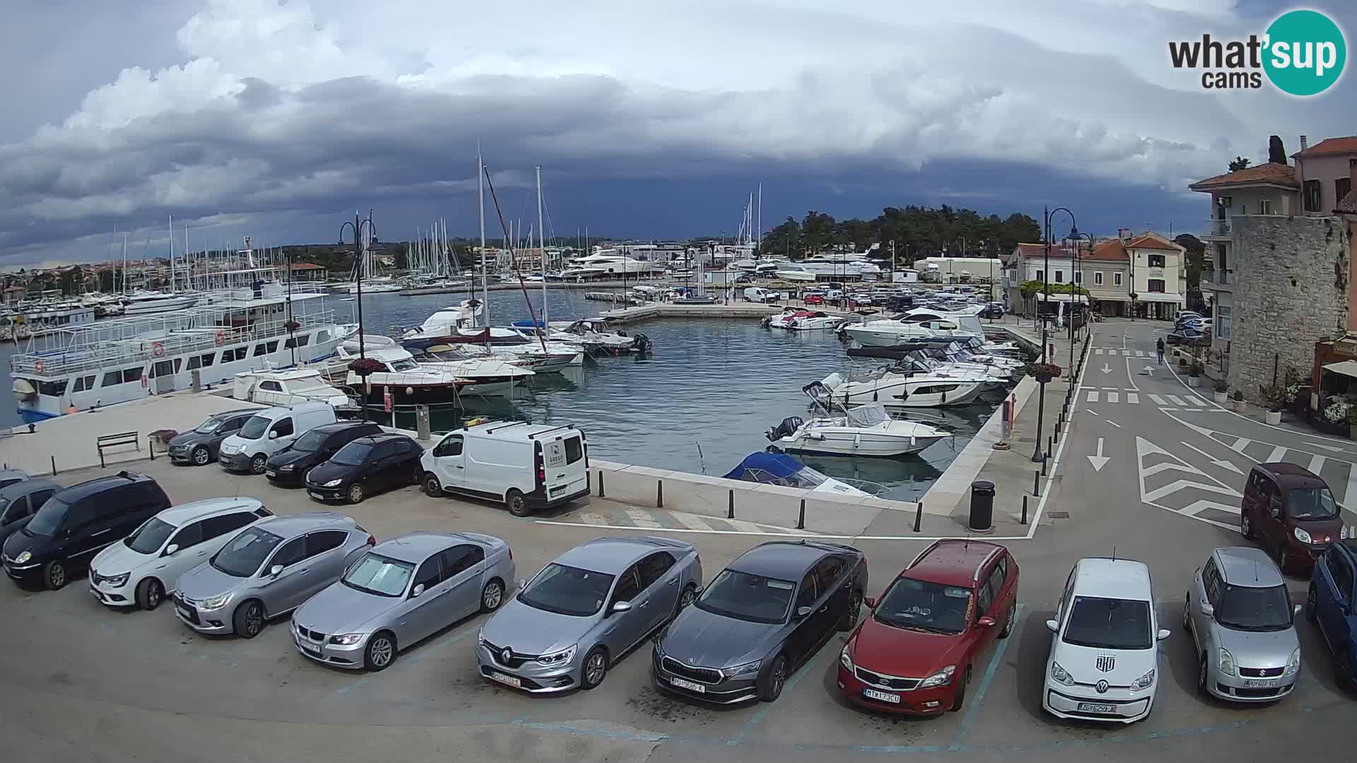 Novigrad | Porporela marina
