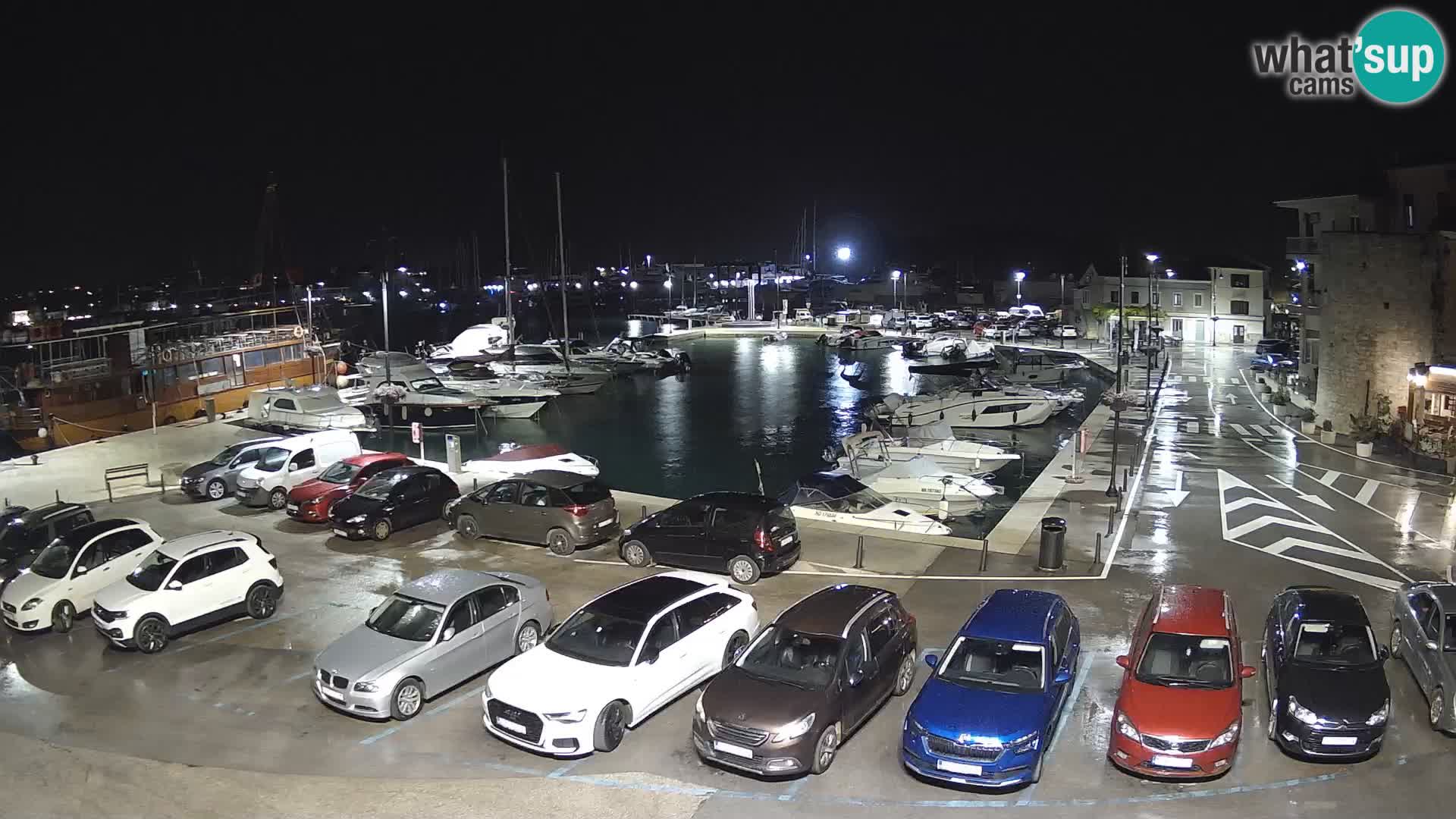 Novigrad | Porporela marina