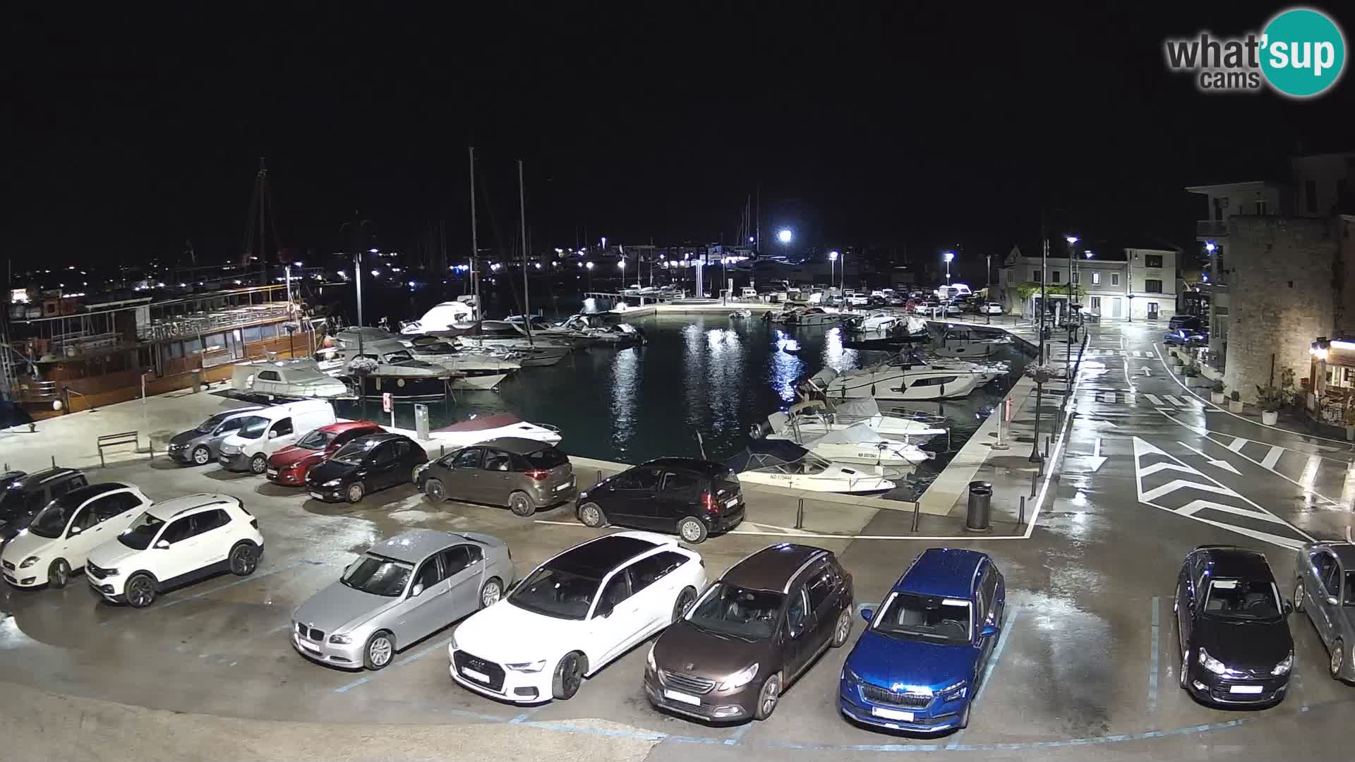 Novigrad | Porporela marina