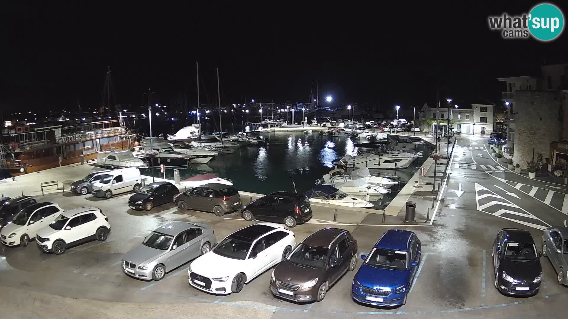 Novigrad | Porporela marina