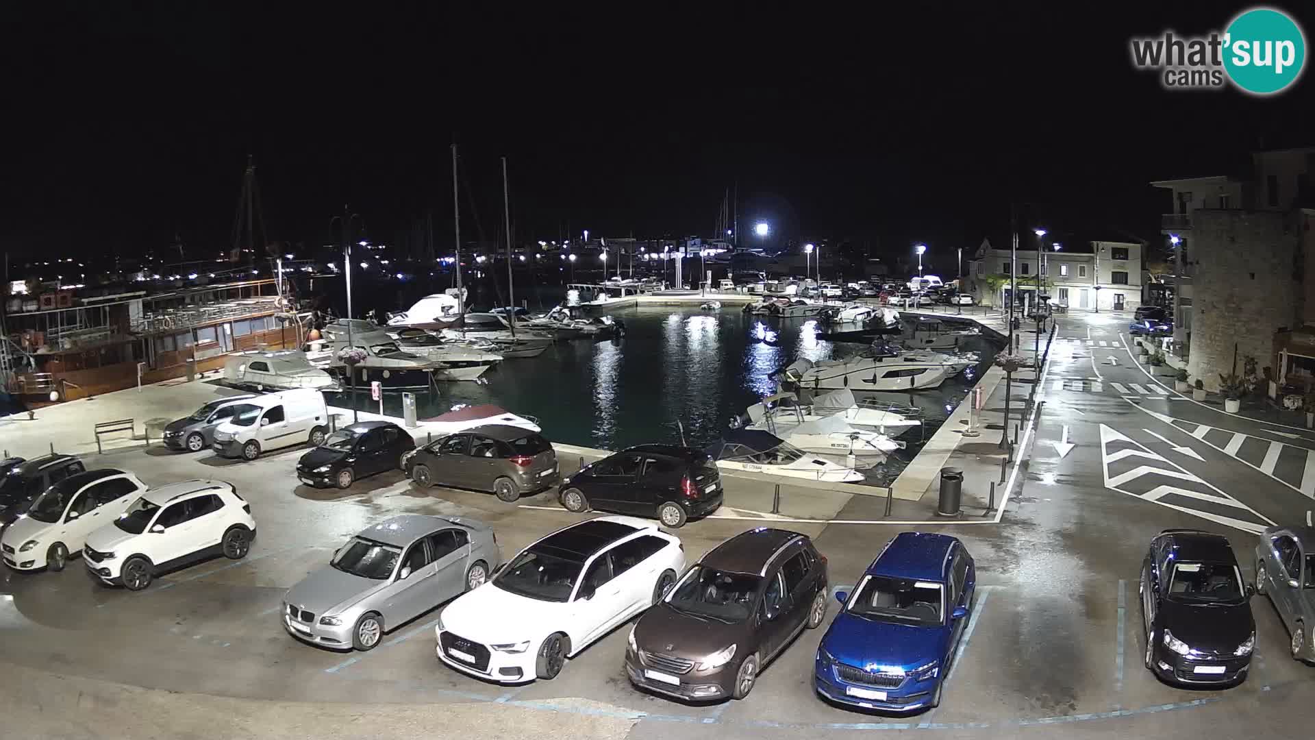 Novigrad | Porporela marina