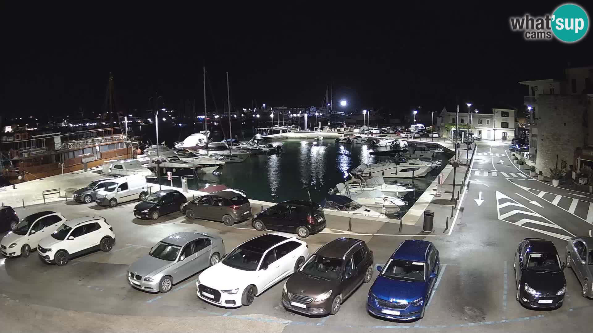 Novigrad | Porporela marina