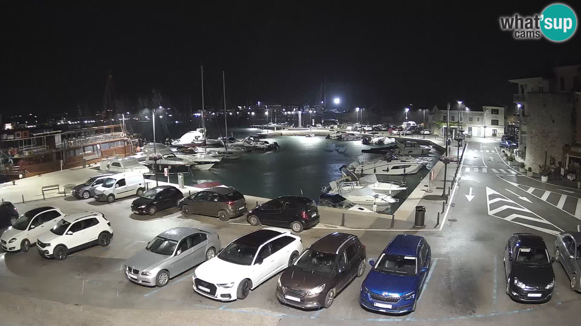 Novigrad | Porporela marina