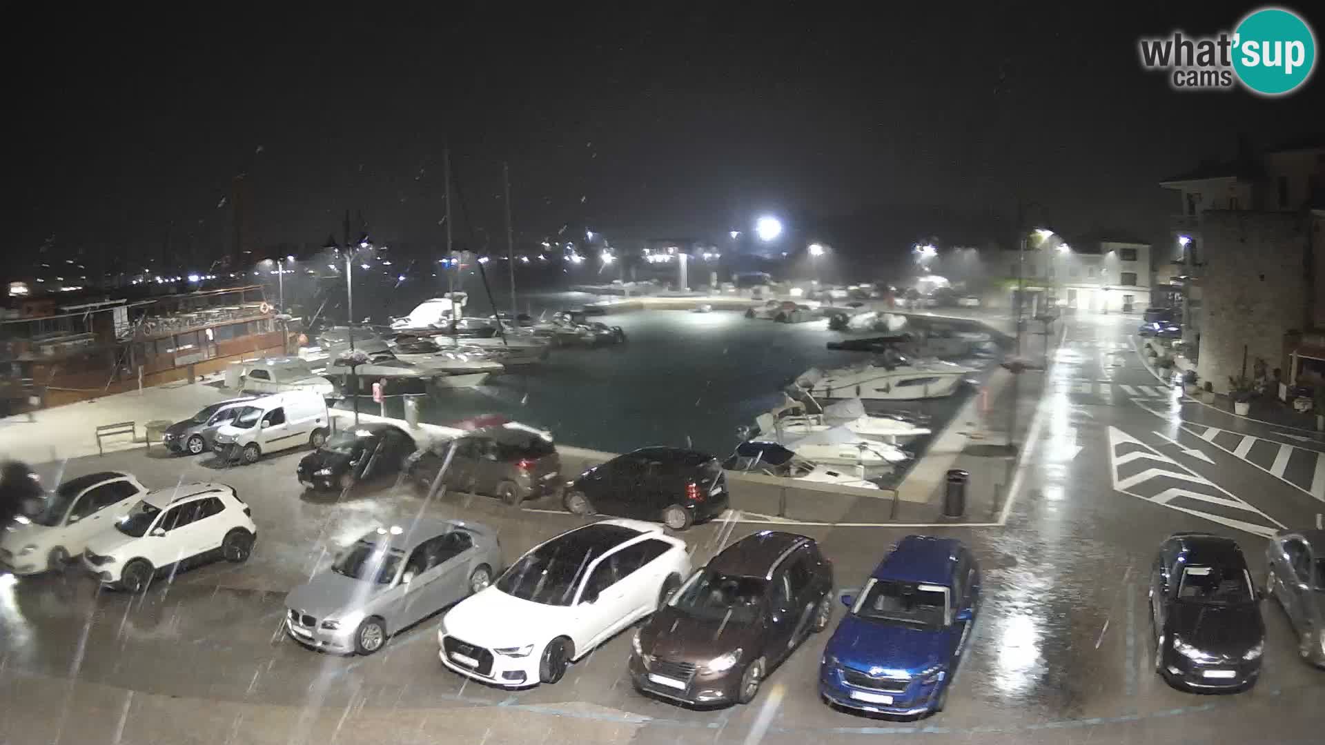 Novigrad | Porporela marina