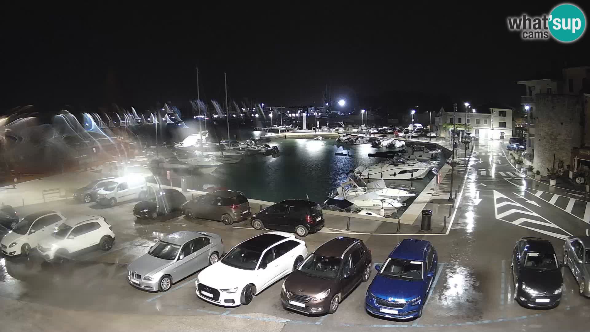 Novigrad | Porporela marina