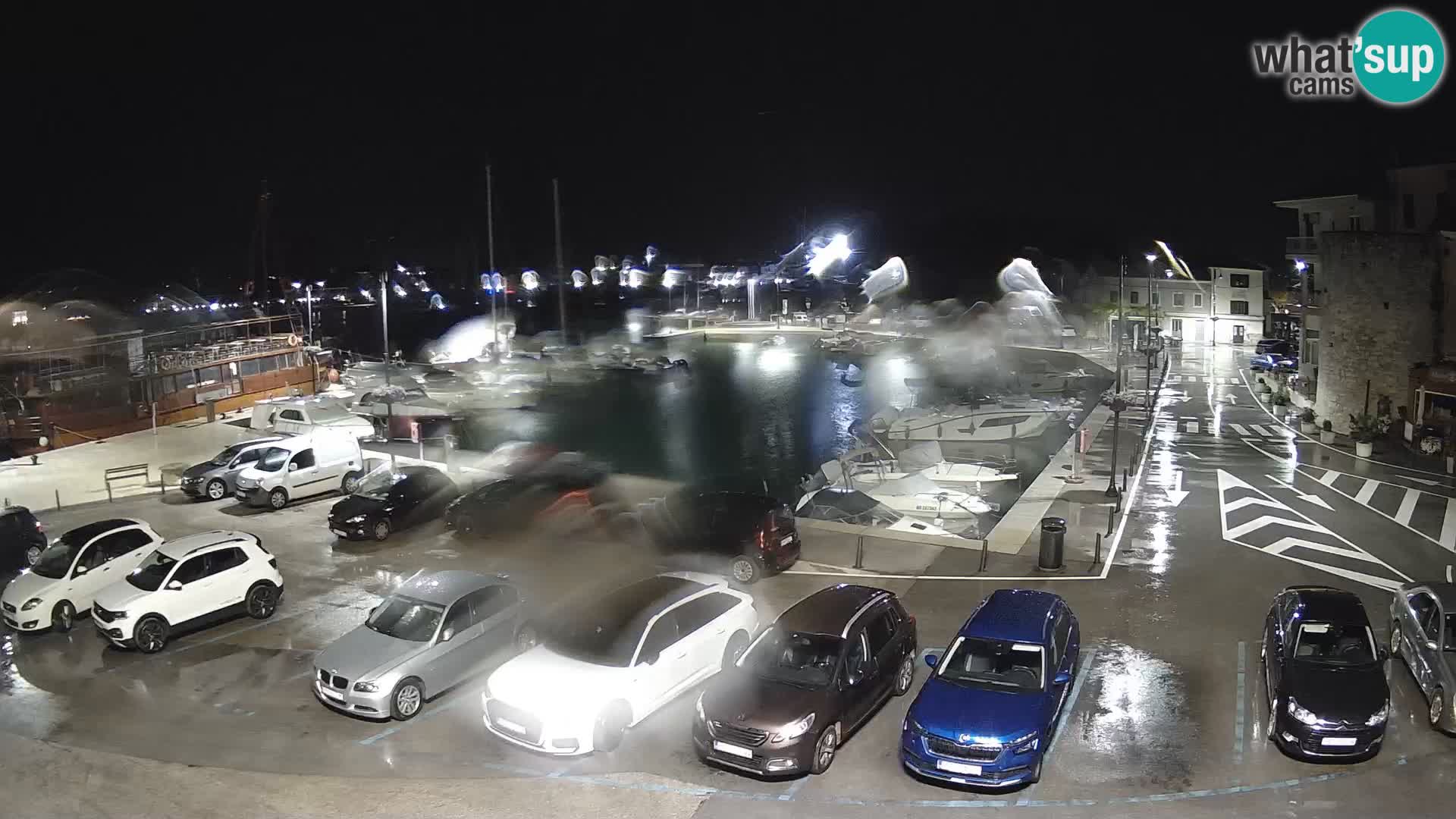 Novigrad | Porporela marina