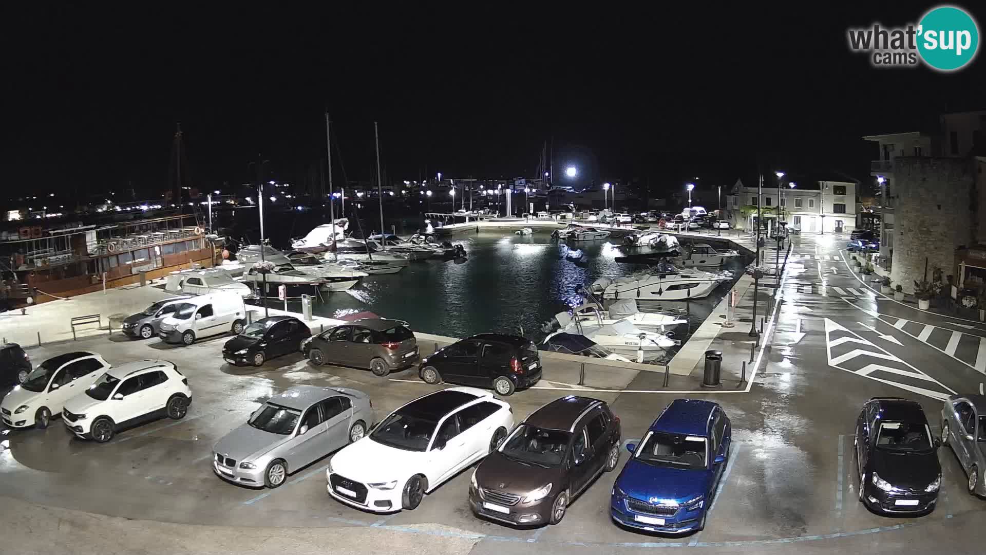 Novigrad | Porporela marina