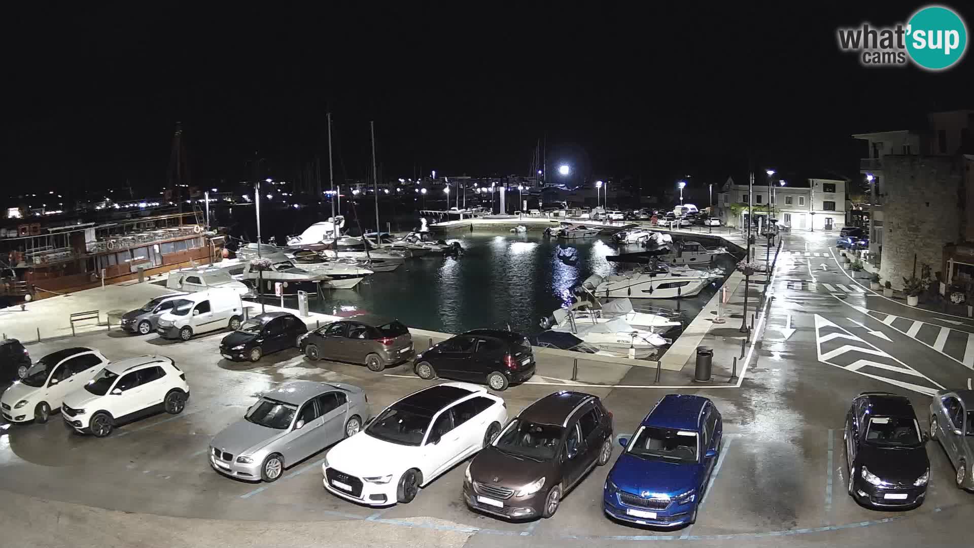Novigrad | Porporela marina
