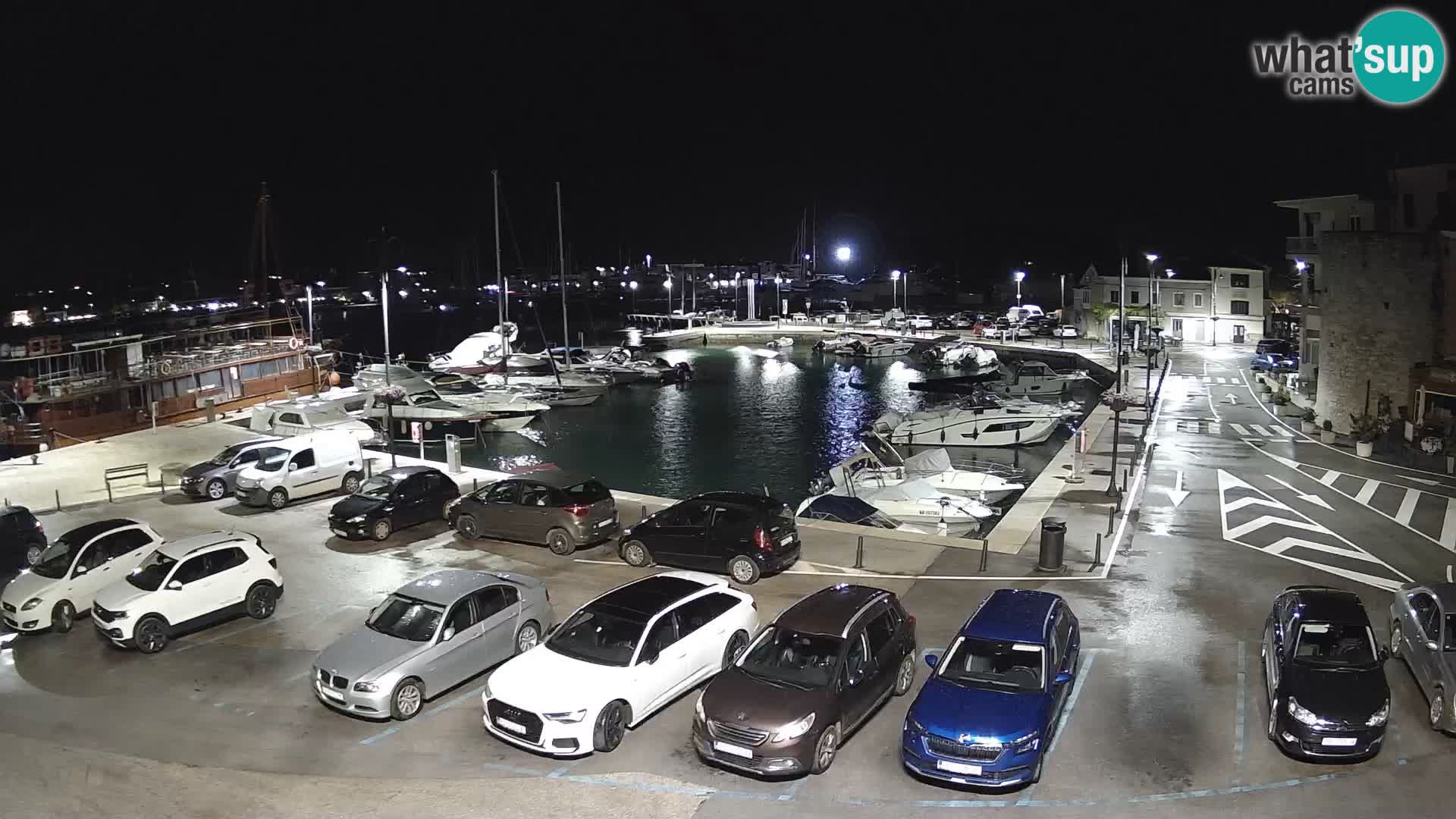 Novigrad | Porporela marina