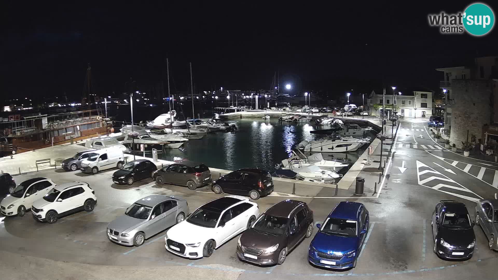Novigrad | Porporela marina