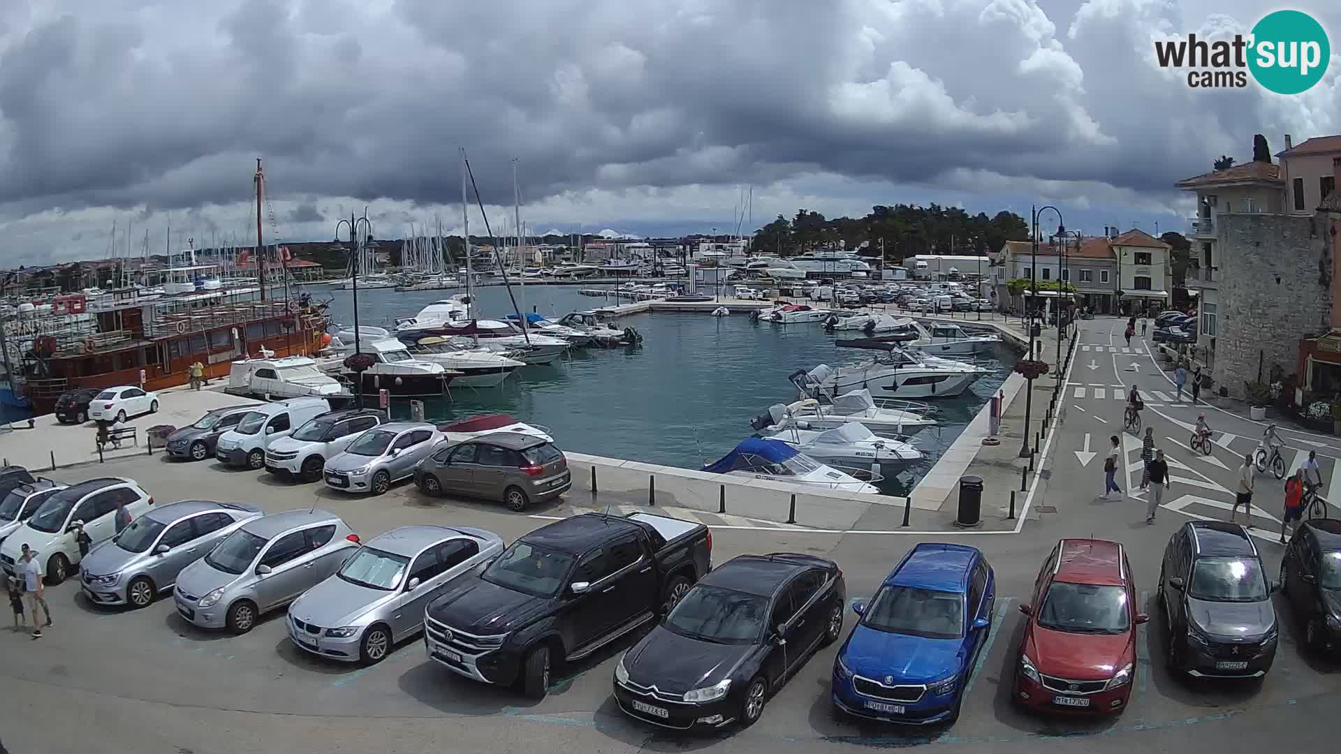Novigrad | Porporela marina