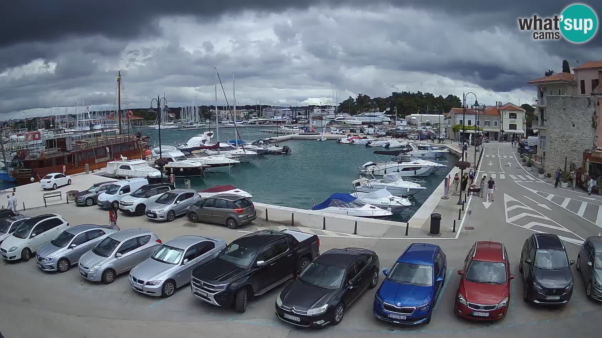 Novigrad | Porporela marina