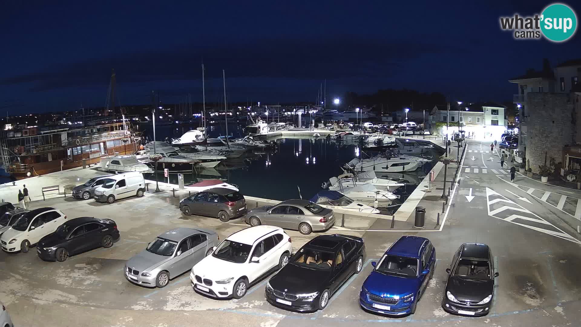 Novigrad | Porporela marina