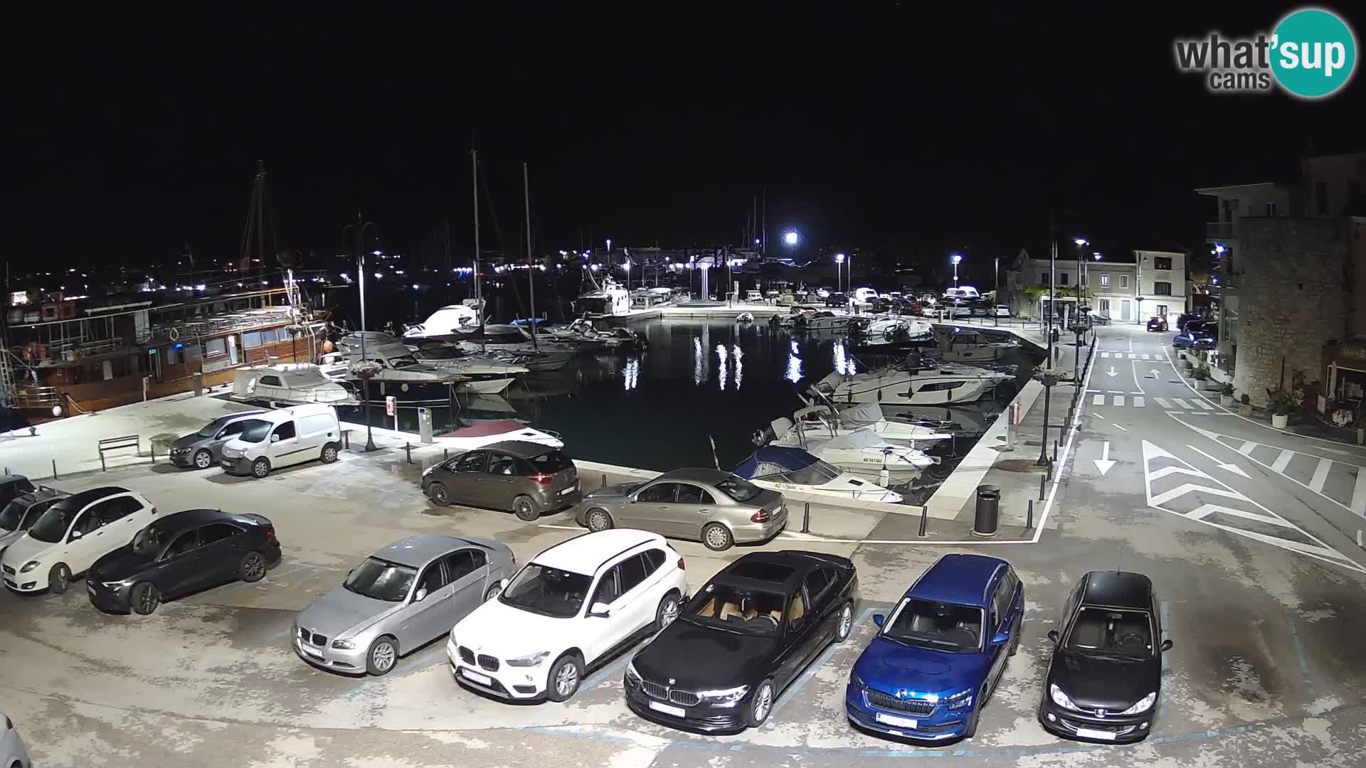 Novigrad | Porporela marina