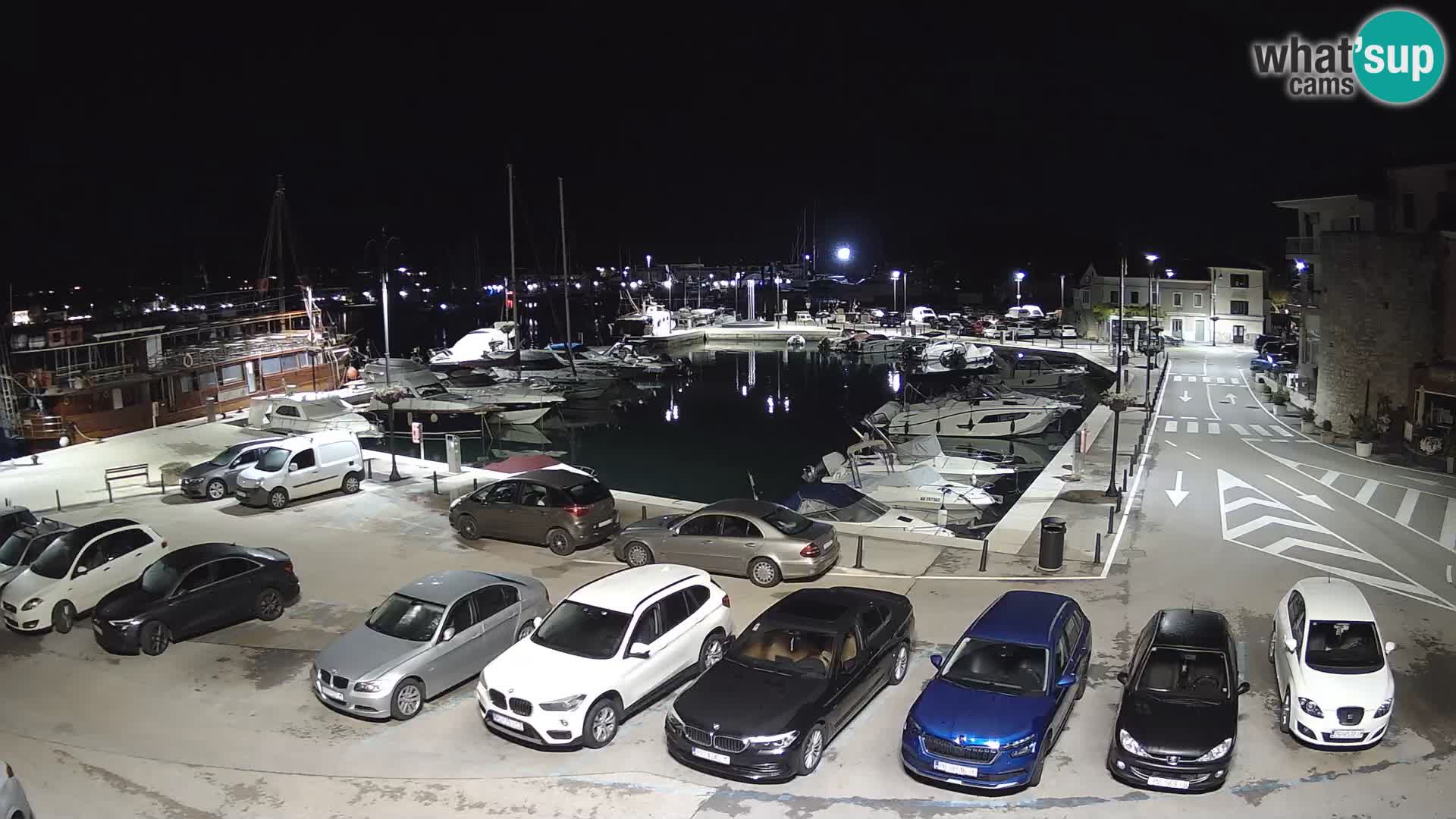 Novigrad | Porporela marina