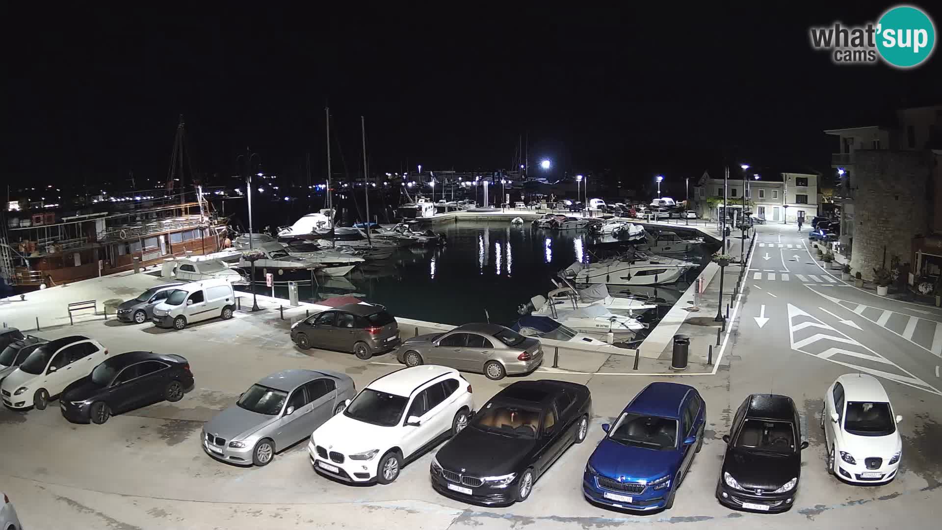 Novigrad | Porporela marina