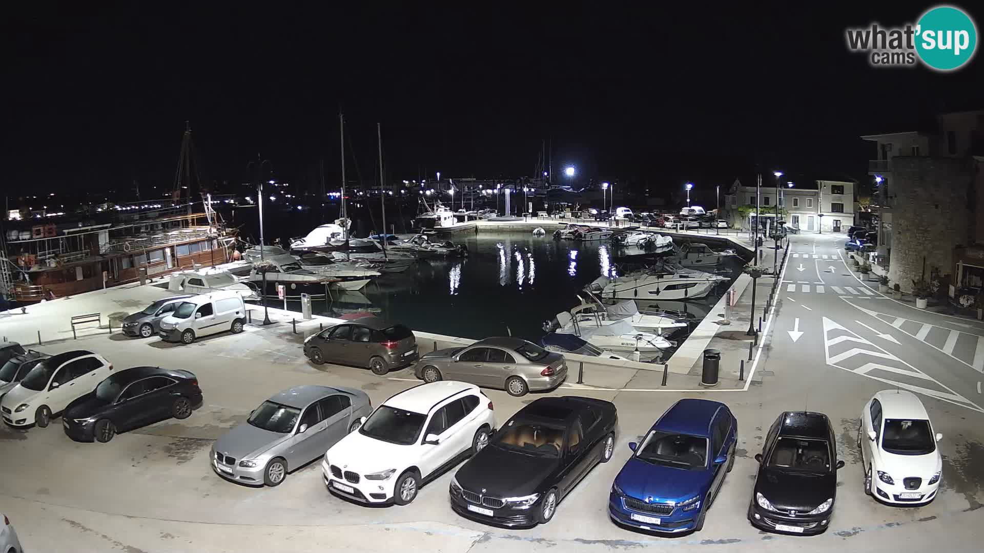 Novigrad | Porporela marina