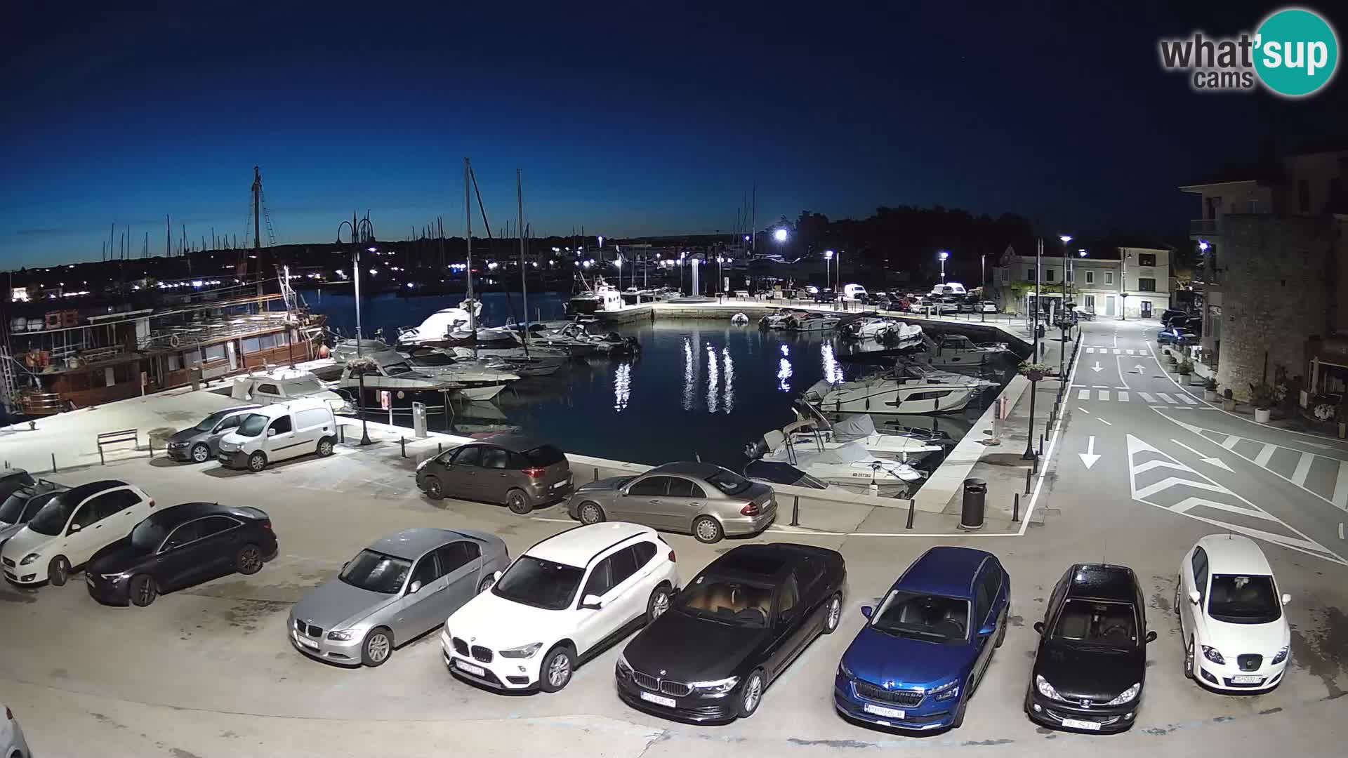 Novigrad | Porporela marina