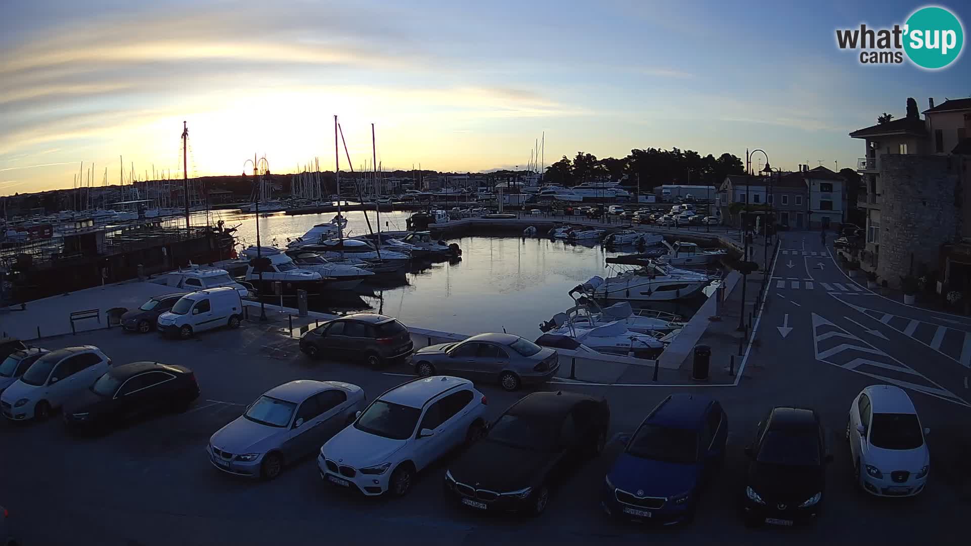 Novigrad | Porporela marina