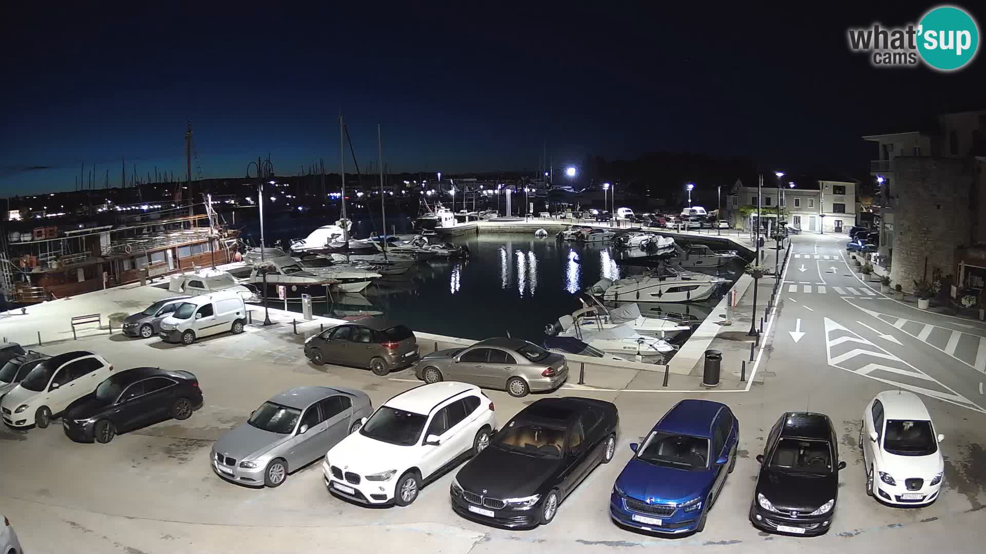 Novigrad | Porporela marina