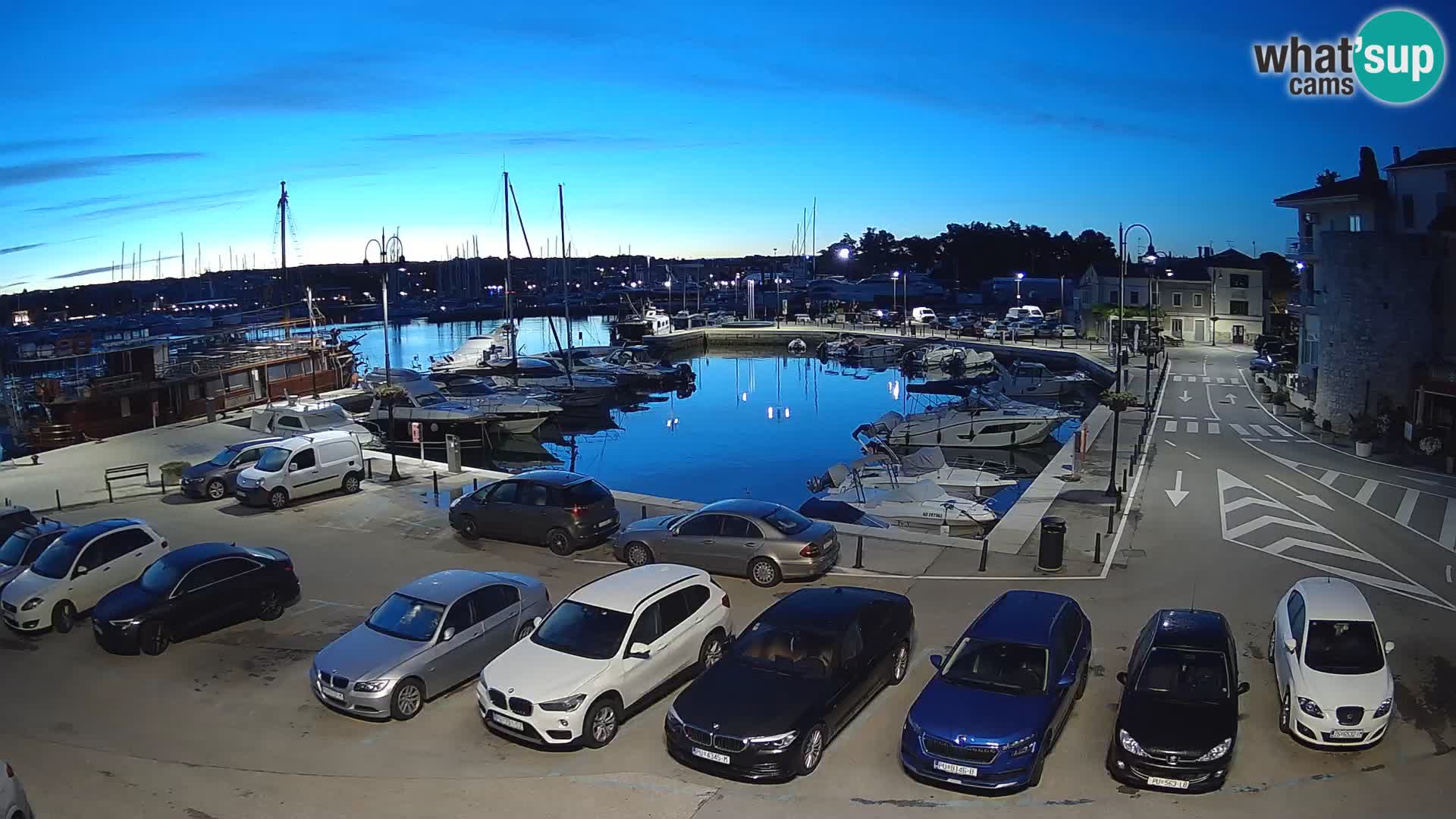 Novigrad | Porporela marina