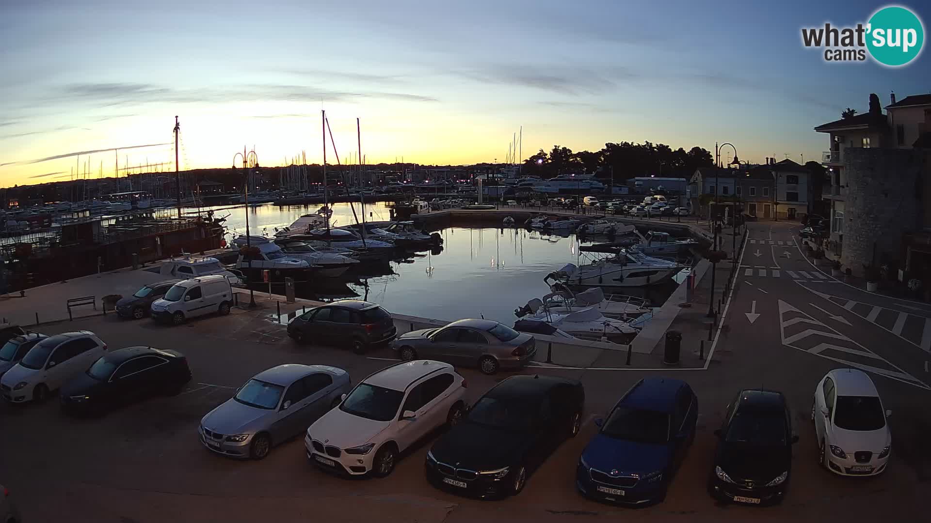 Novigrad | Porporela marina