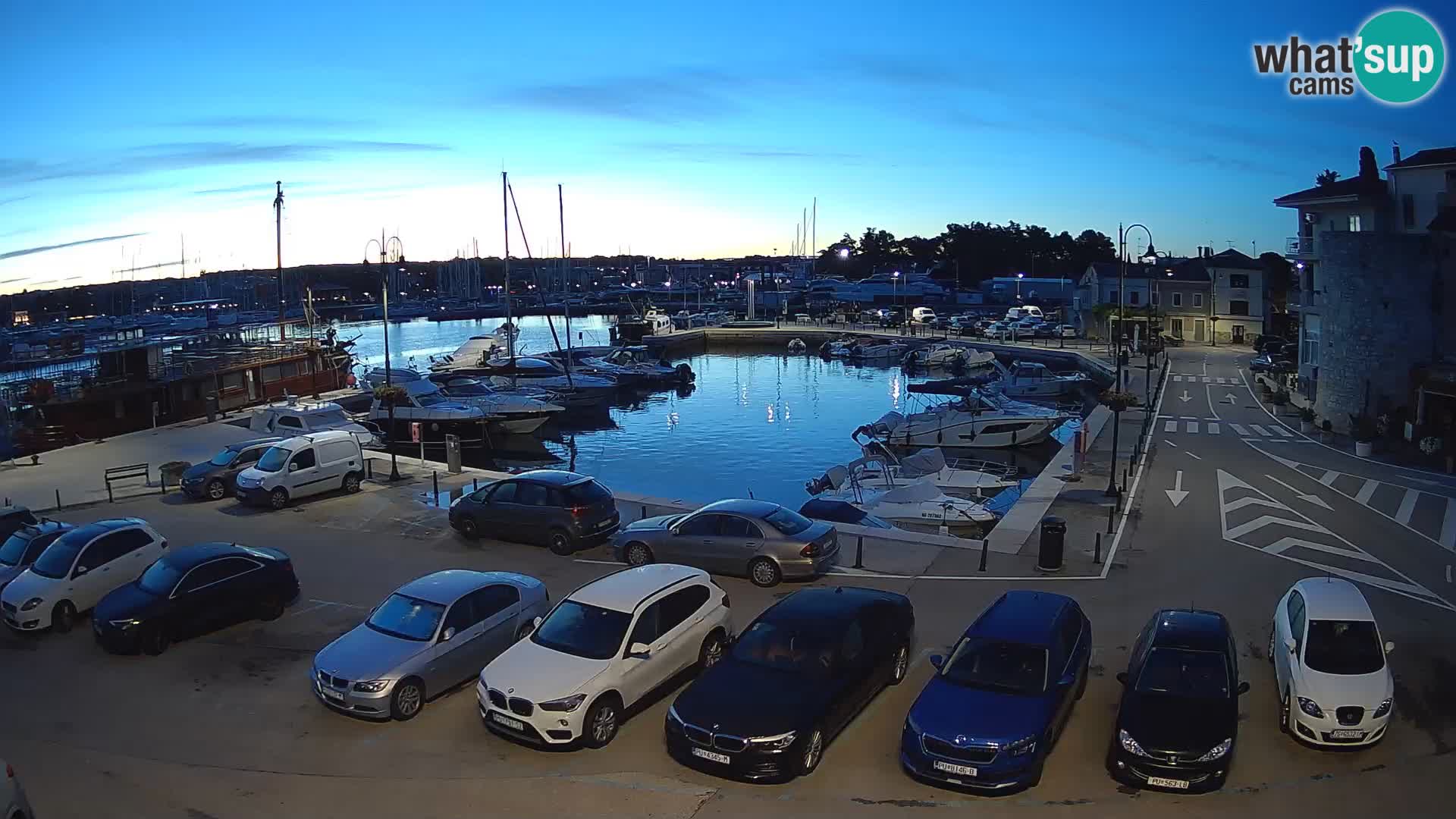 Novigrad | Porporela marina