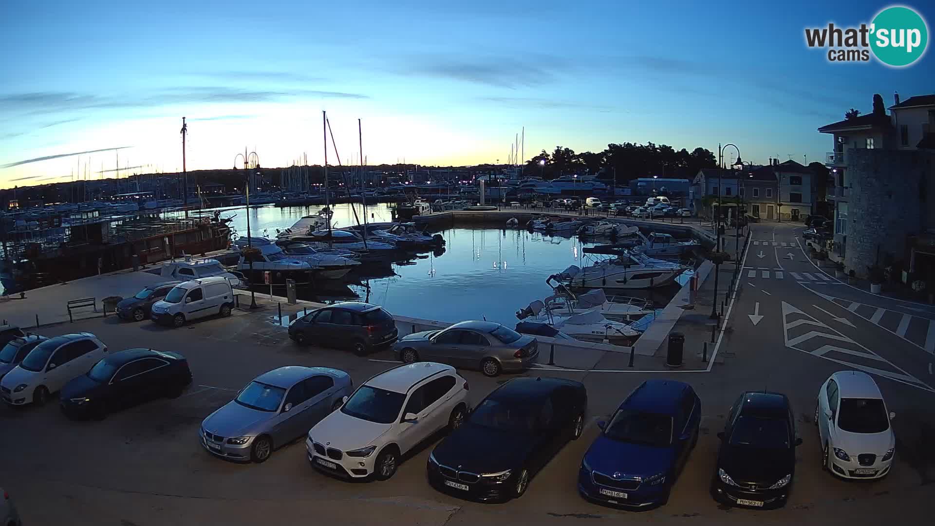 Novigrad | Porporela marina