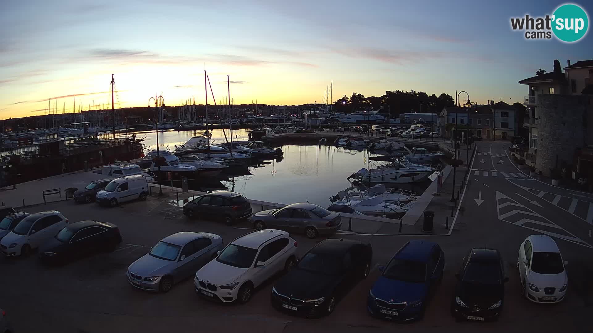 Novigrad | Porporela marina