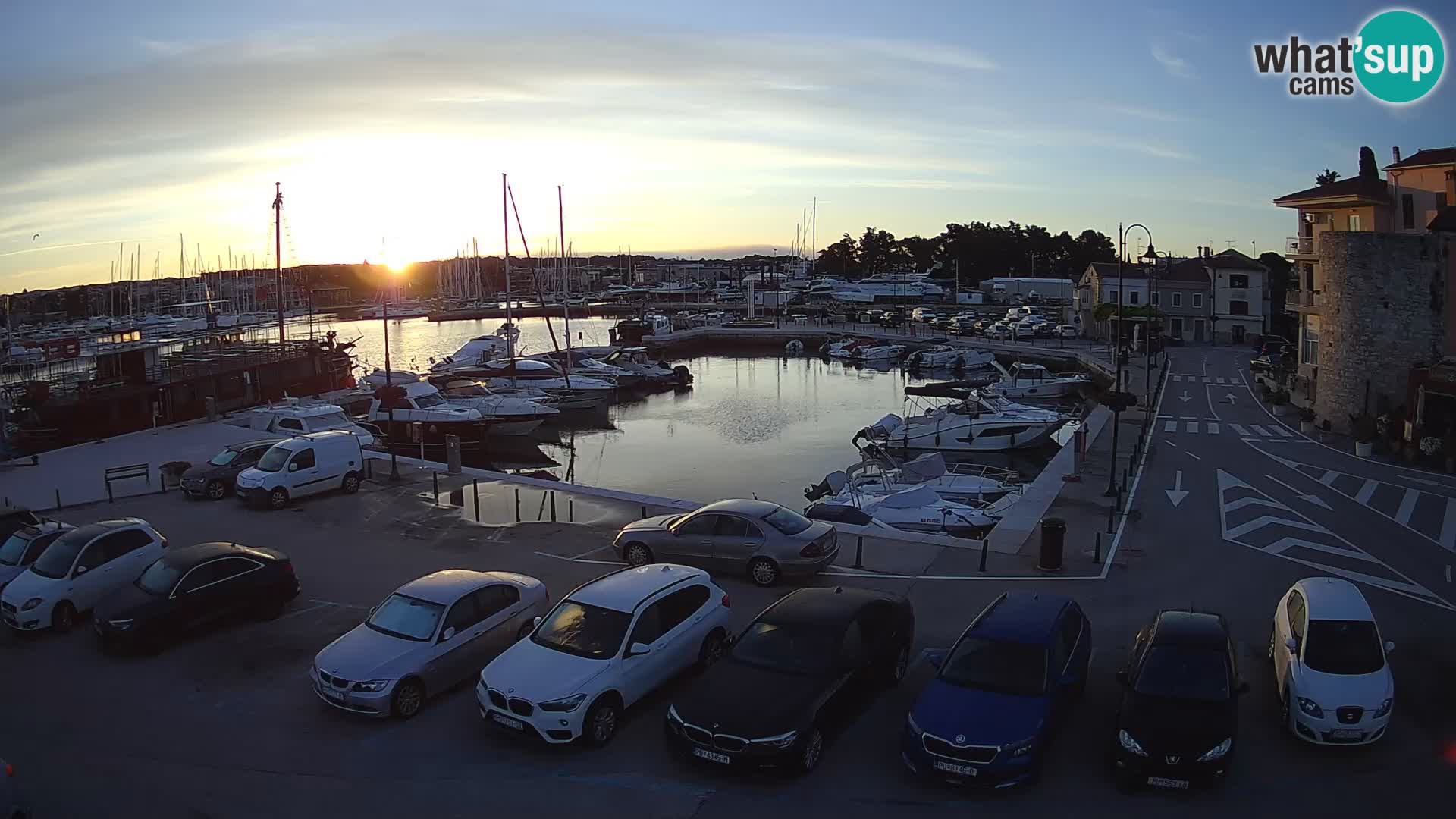 Novigrad | Porporela marina