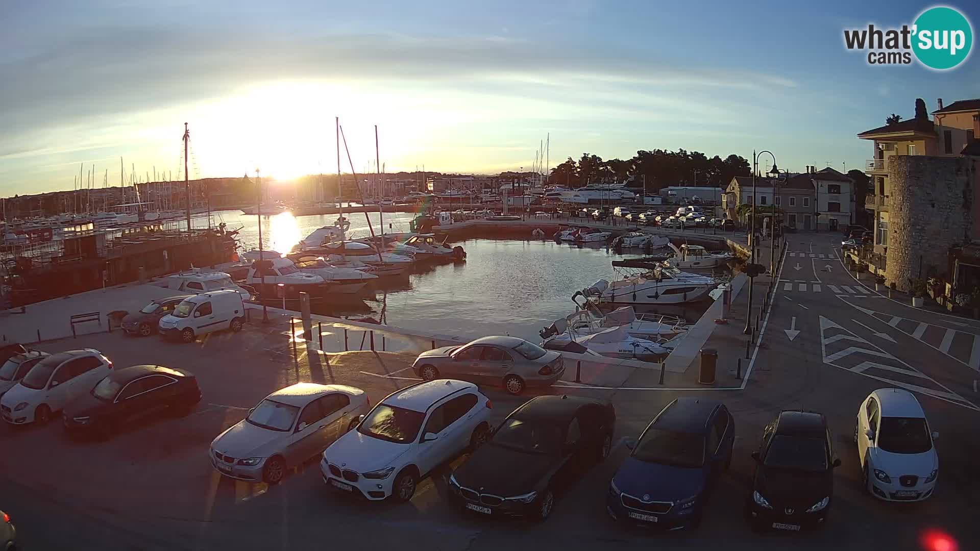 Novigrad | Porporela marina