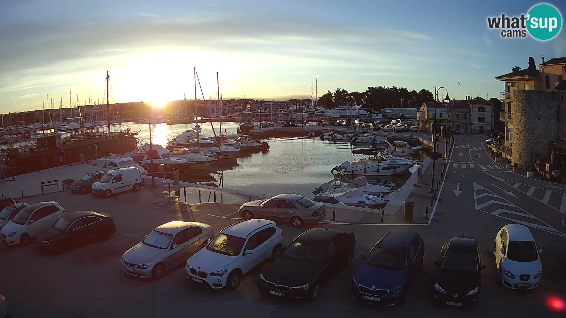 Novigrad | Porporela marina