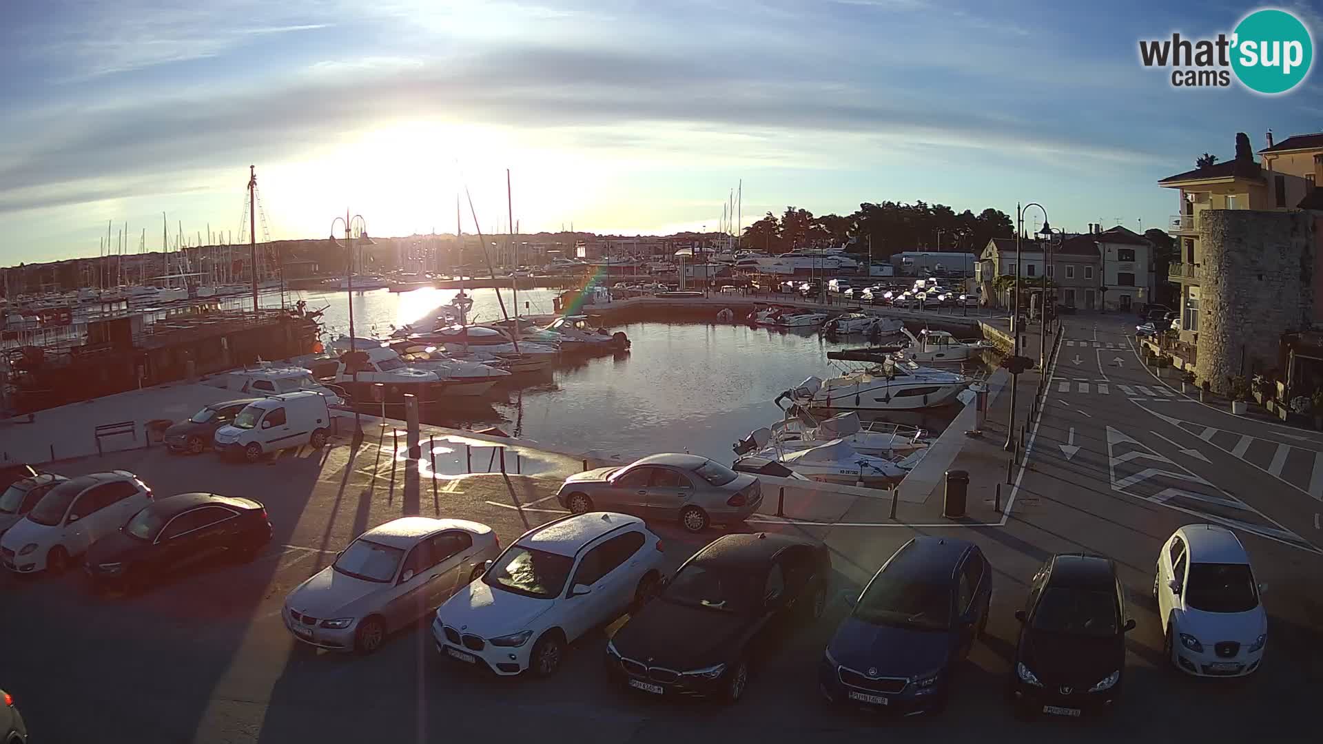 Novigrad | Porporela marina