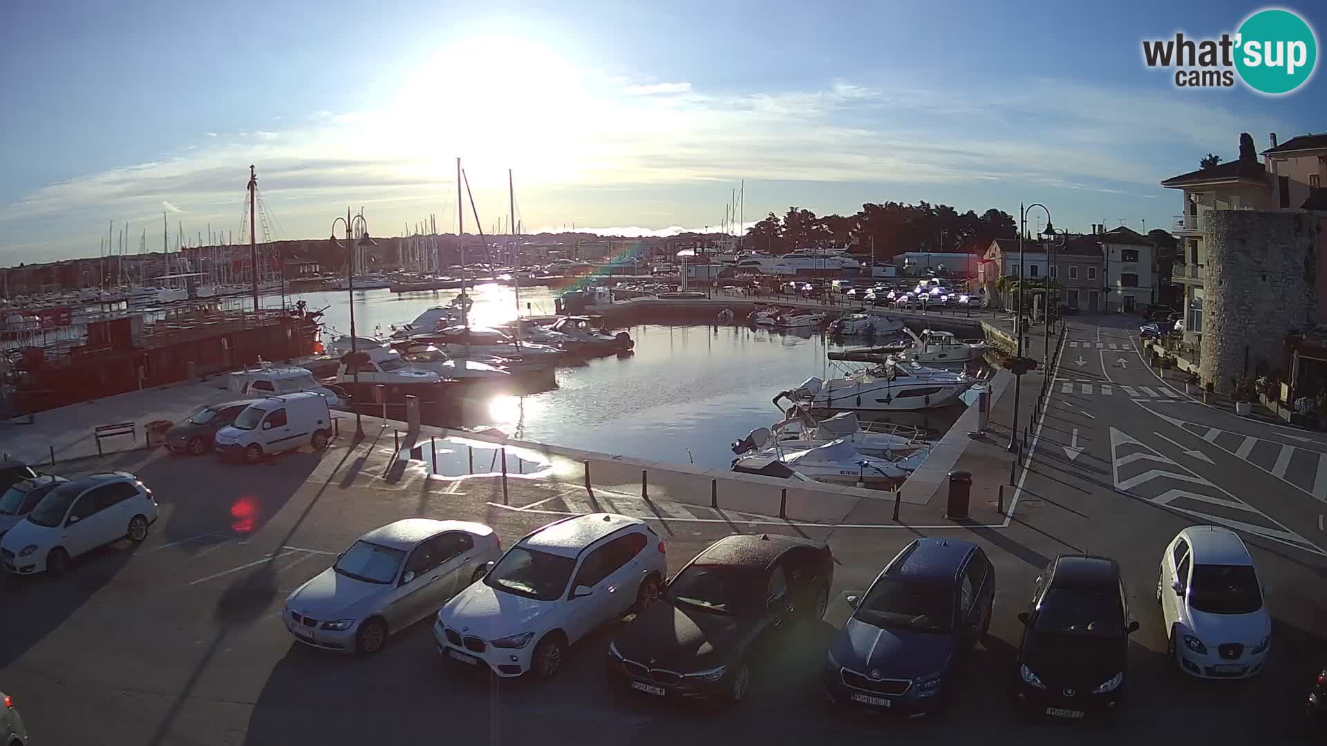 Novigrad | Porporela marina
