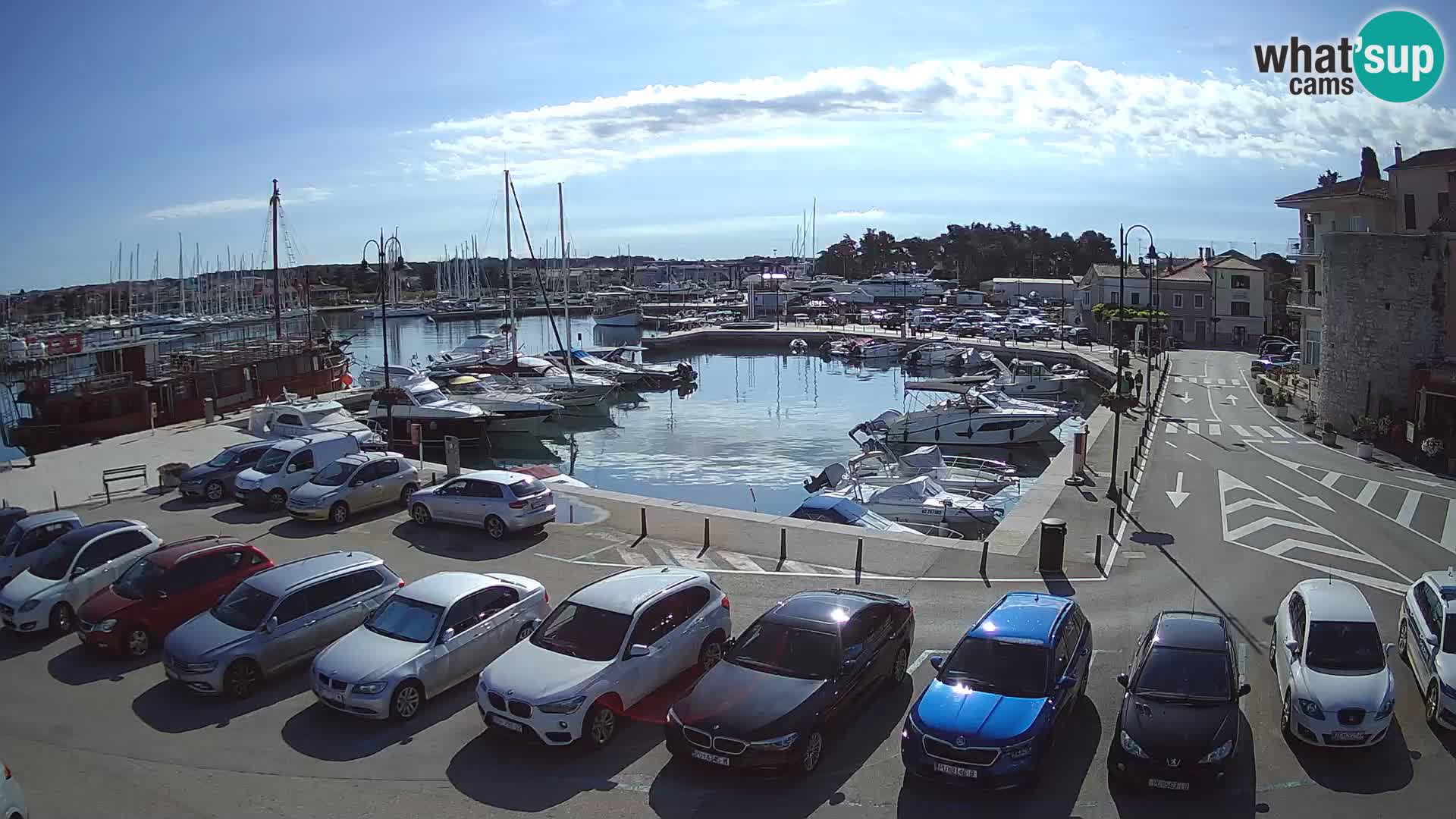 Novigrad | Porporela marina