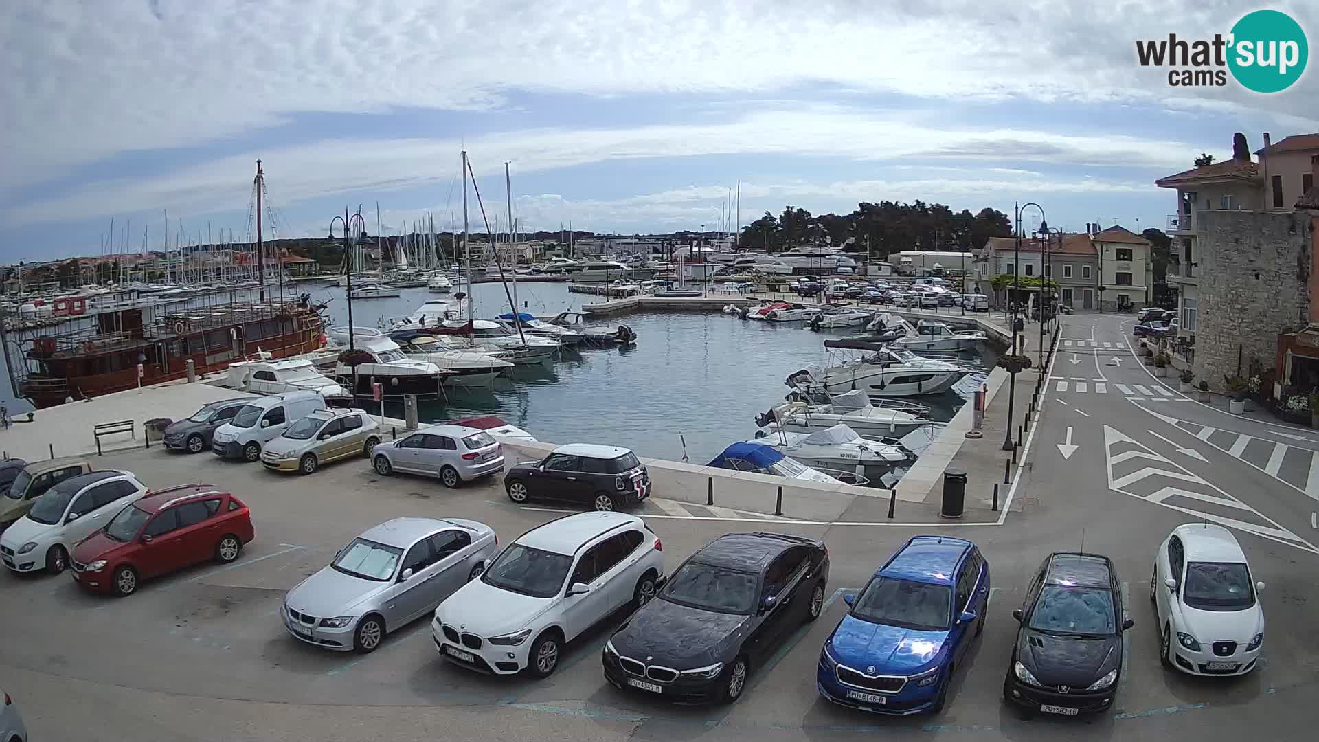 Novigrad | Porporela marina