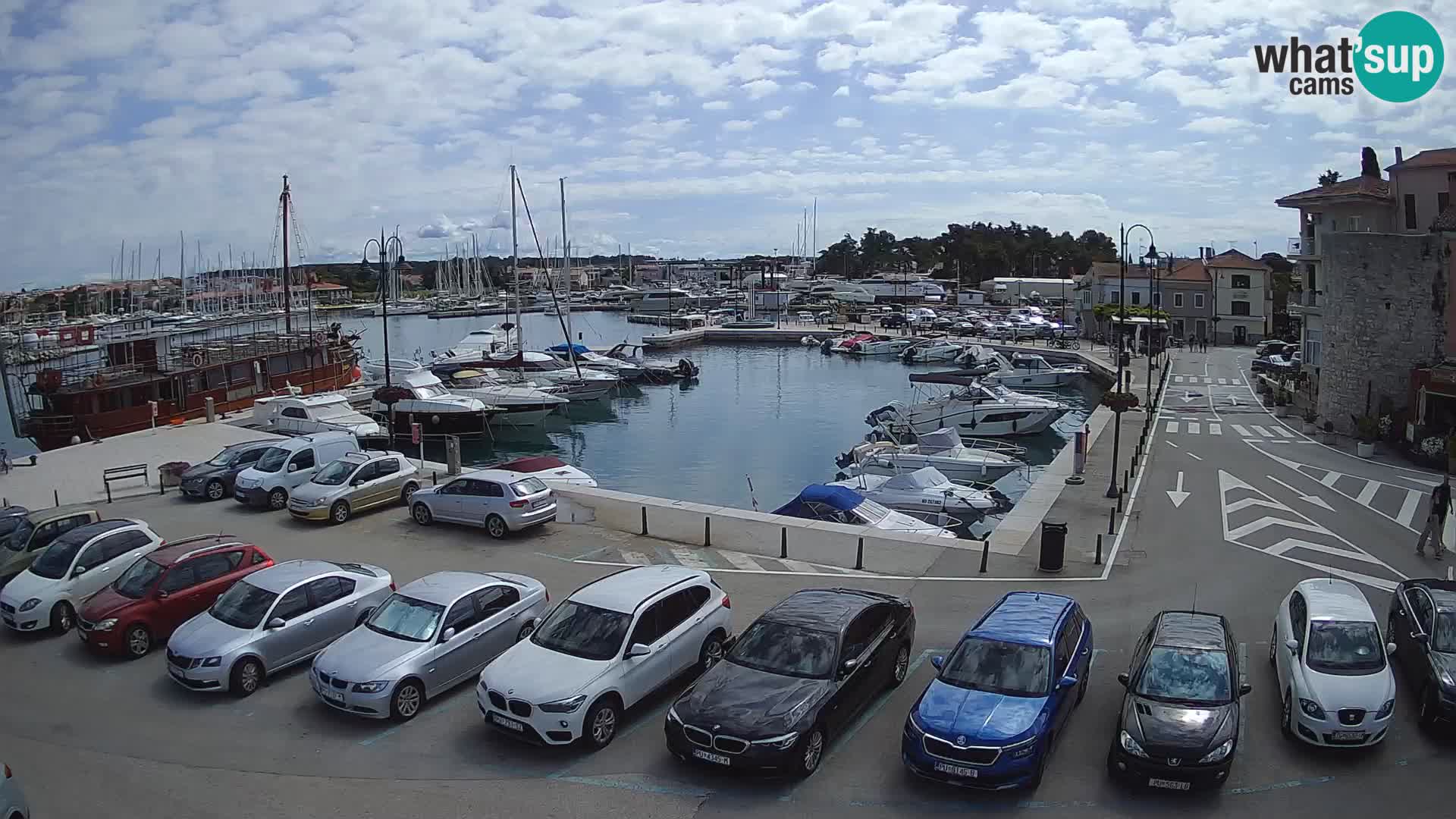 Novigrad | Porporela marina