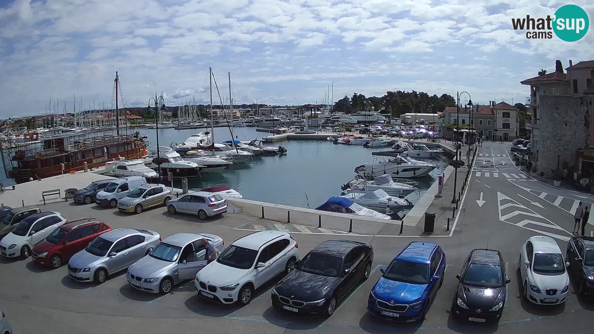 Novigrad | Porporela marina