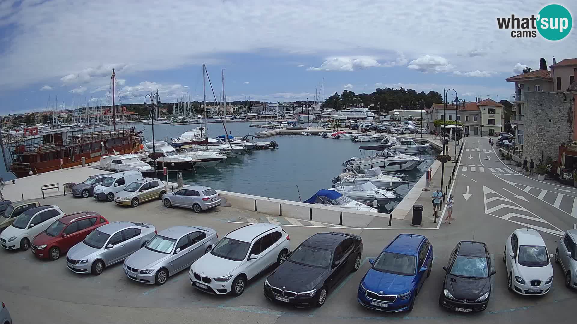 Novigrad | Porporela marina