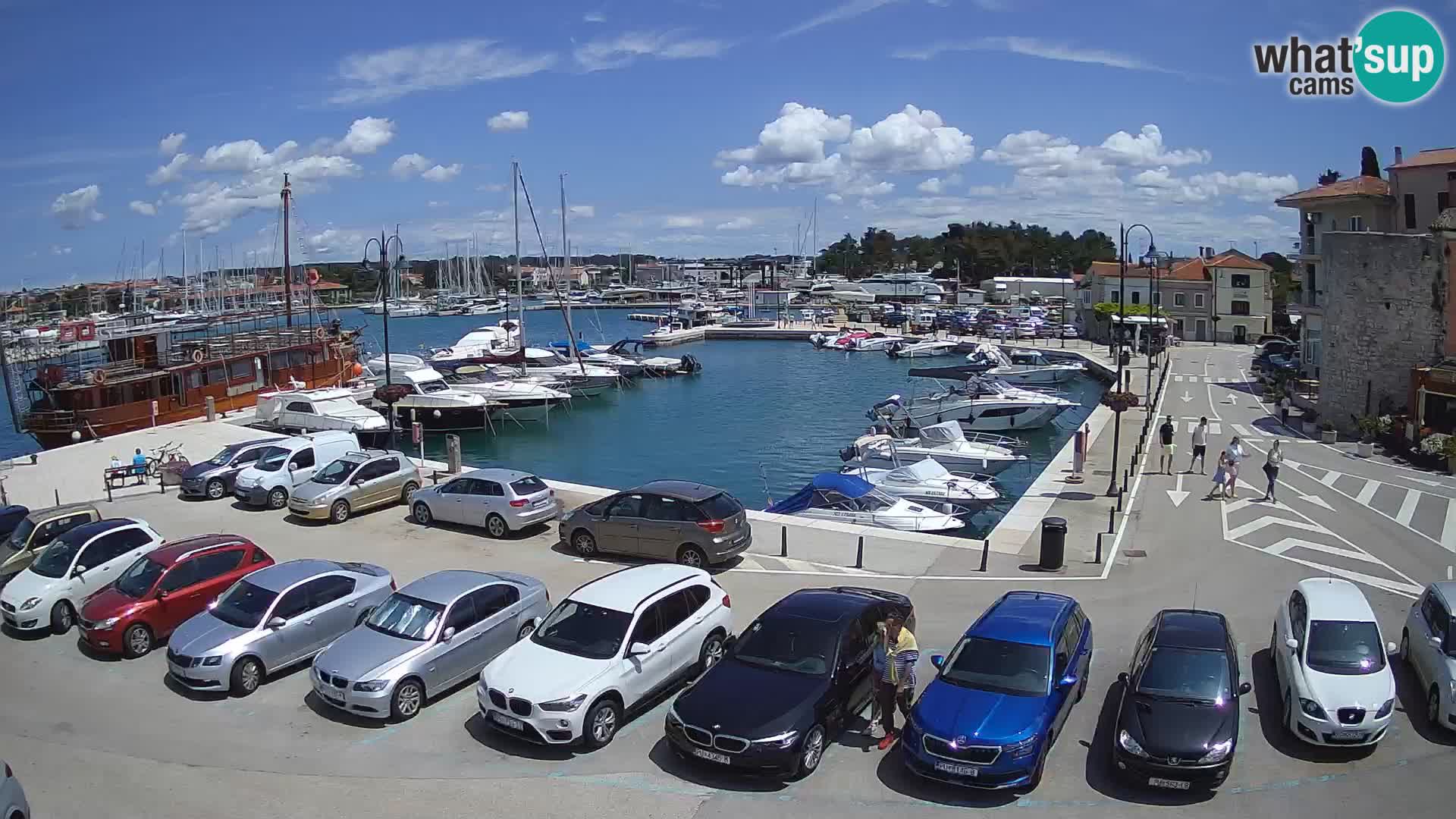 Novigrad | Porporela marina
