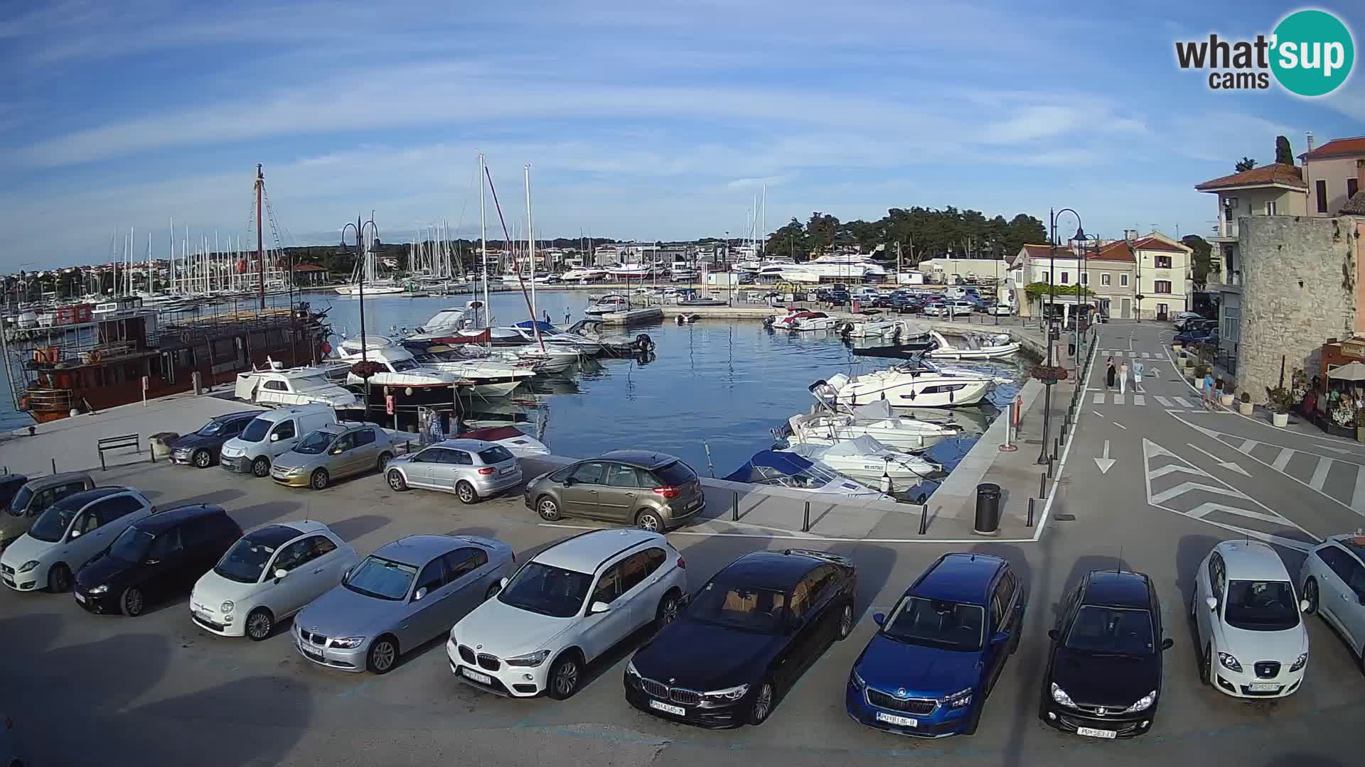 Novigrad | Porporela marina