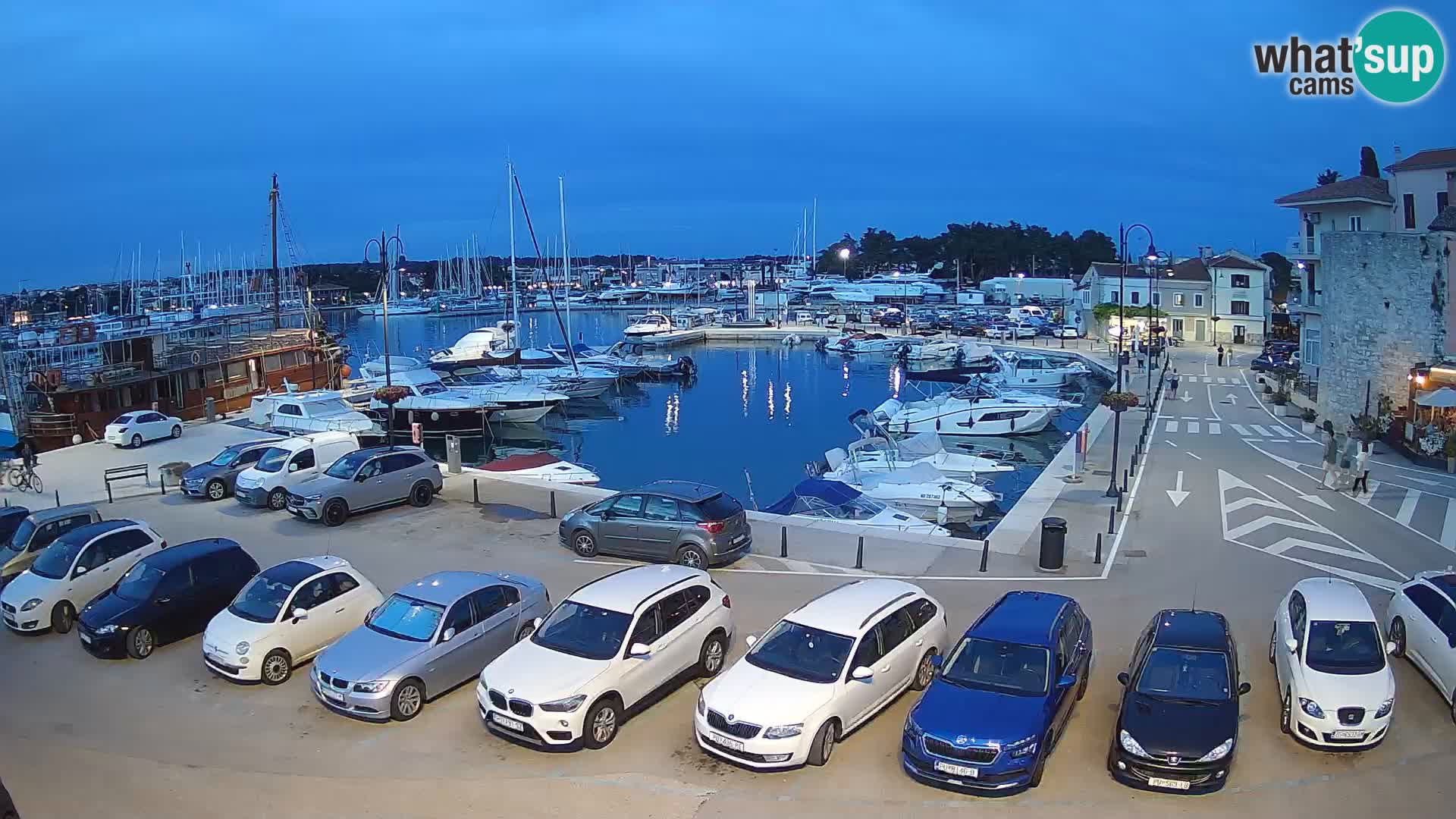 Novigrad | Porporela marina