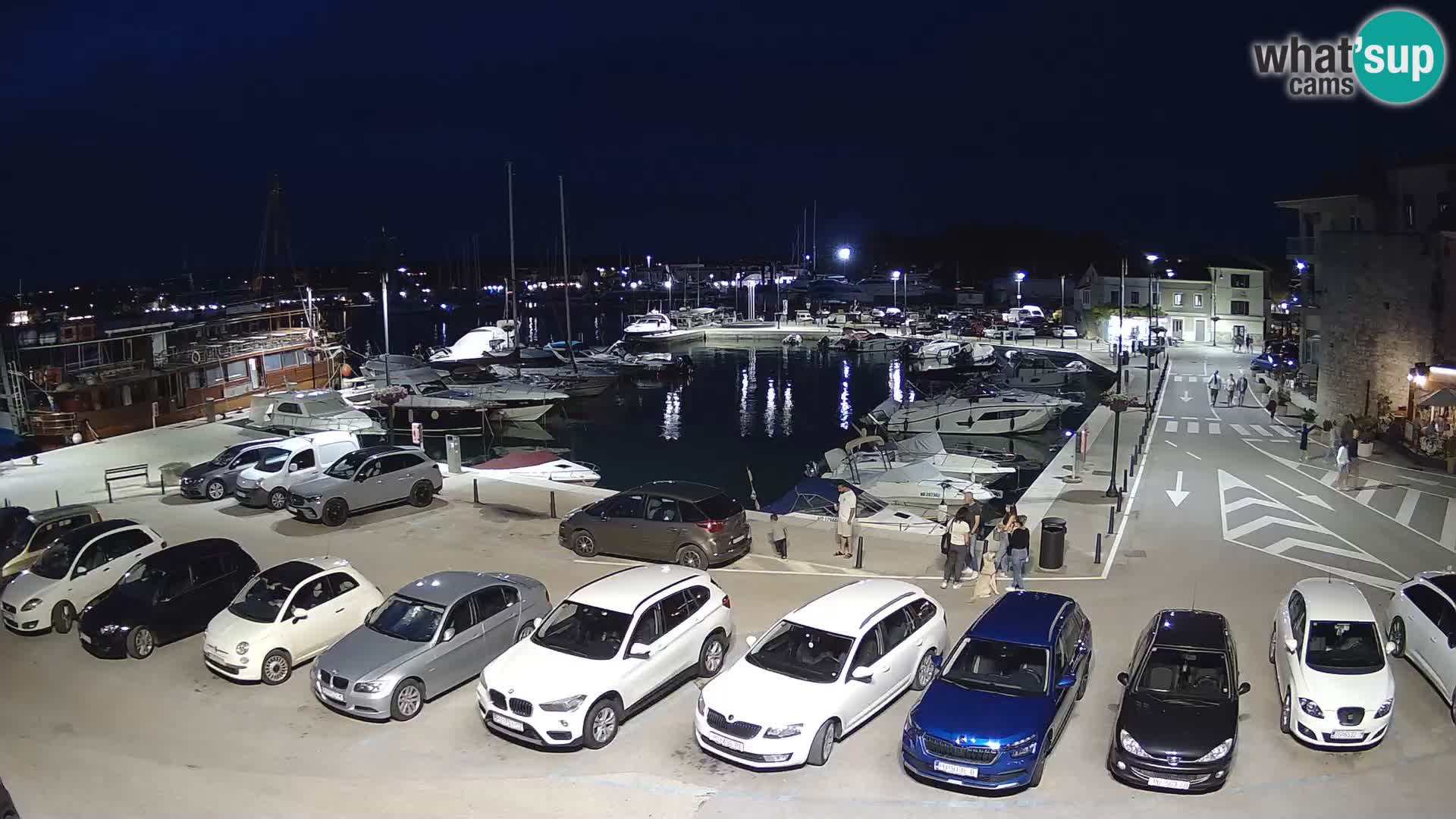 Novigrad | Porporela marina