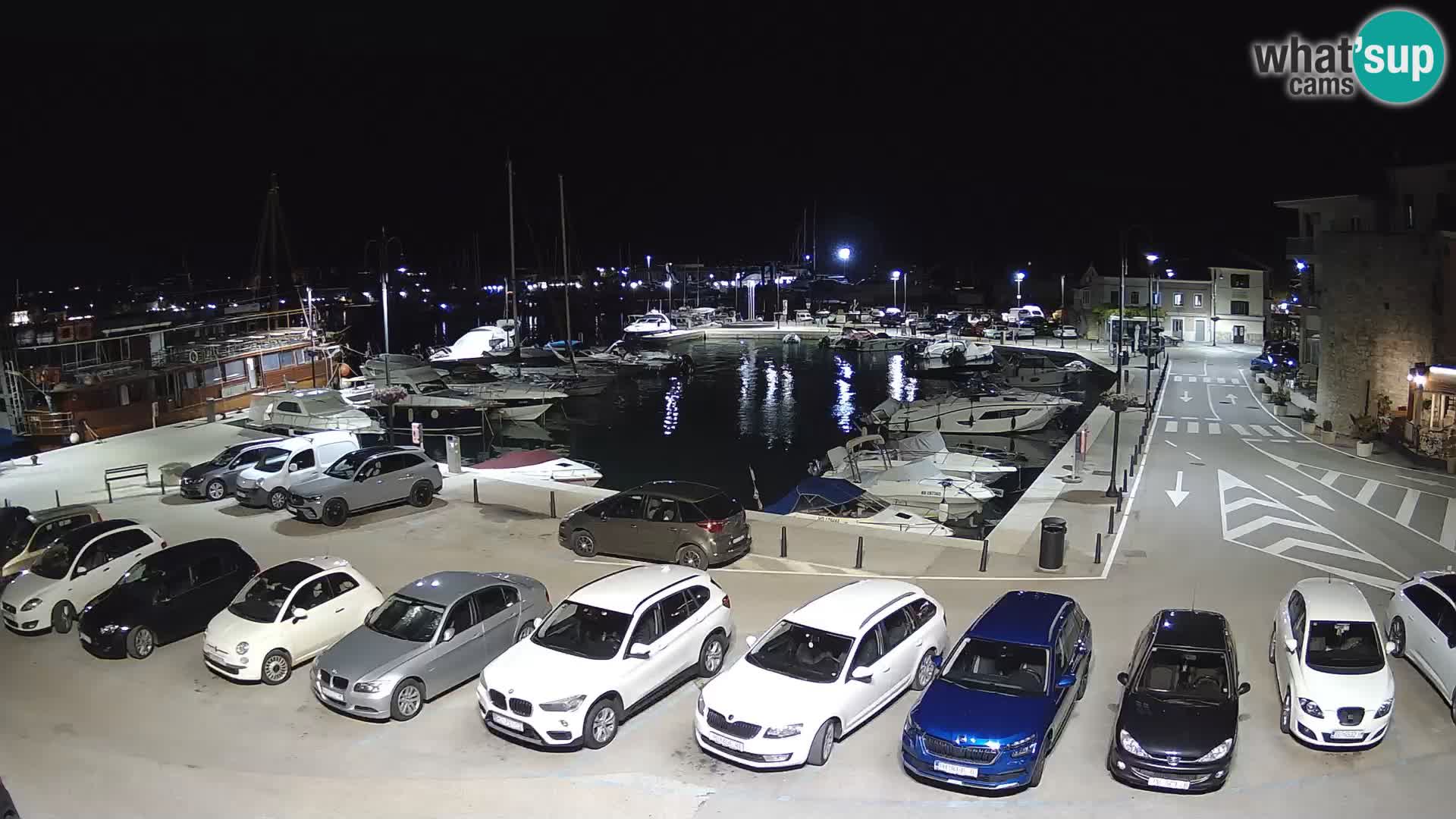 Novigrad | Porporela marina