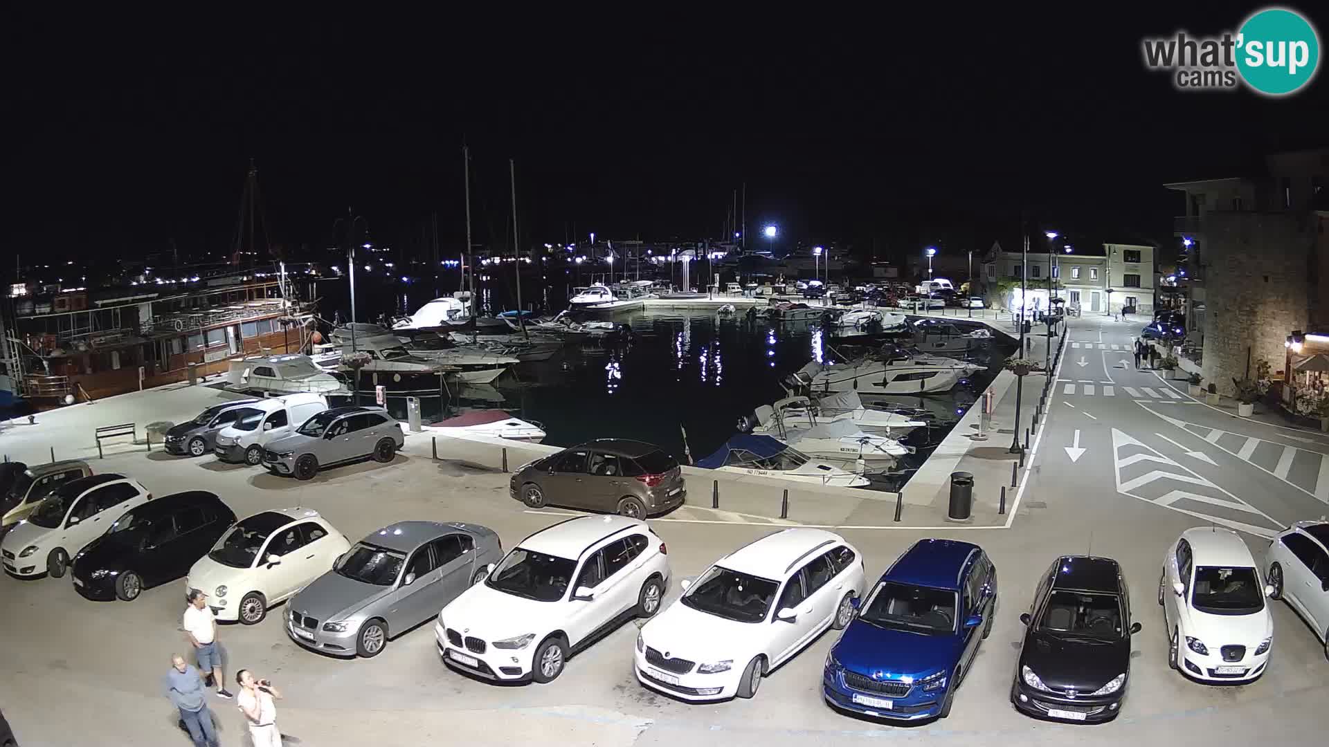 Novigrad | Porporela marina