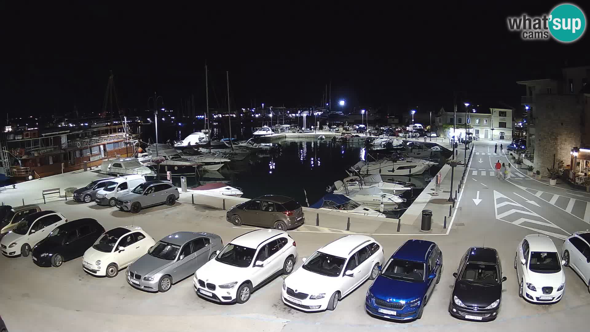 Novigrad | Porporela marina