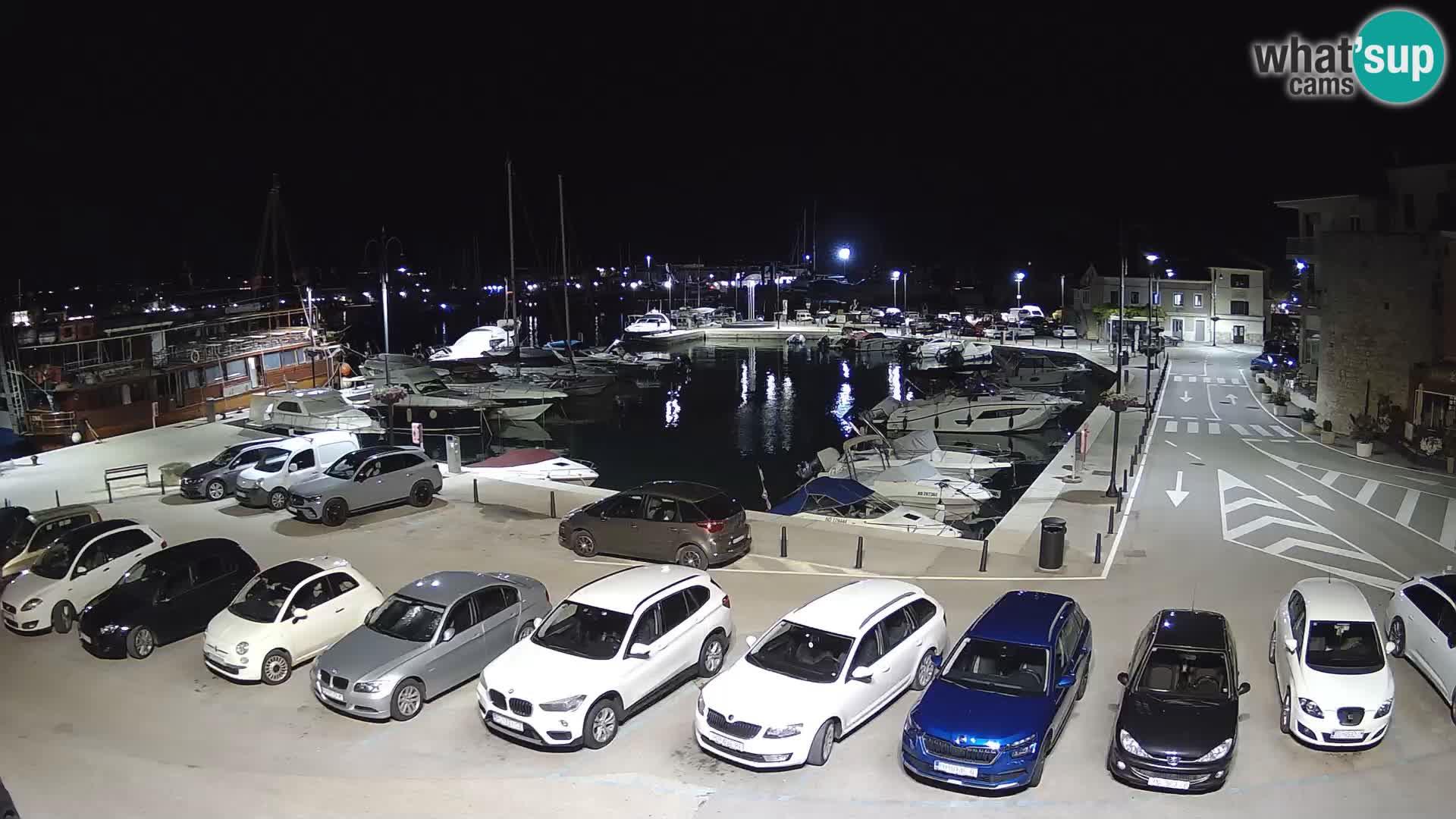 Novigrad | Porporela marina