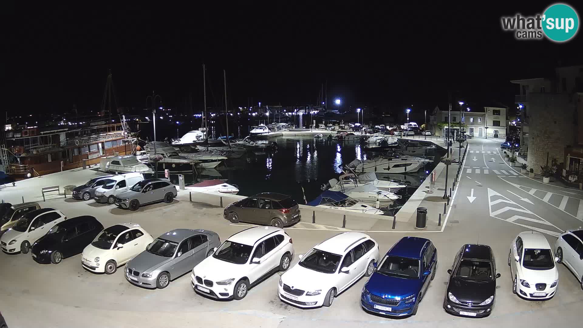 Novigrad | Porporela marina