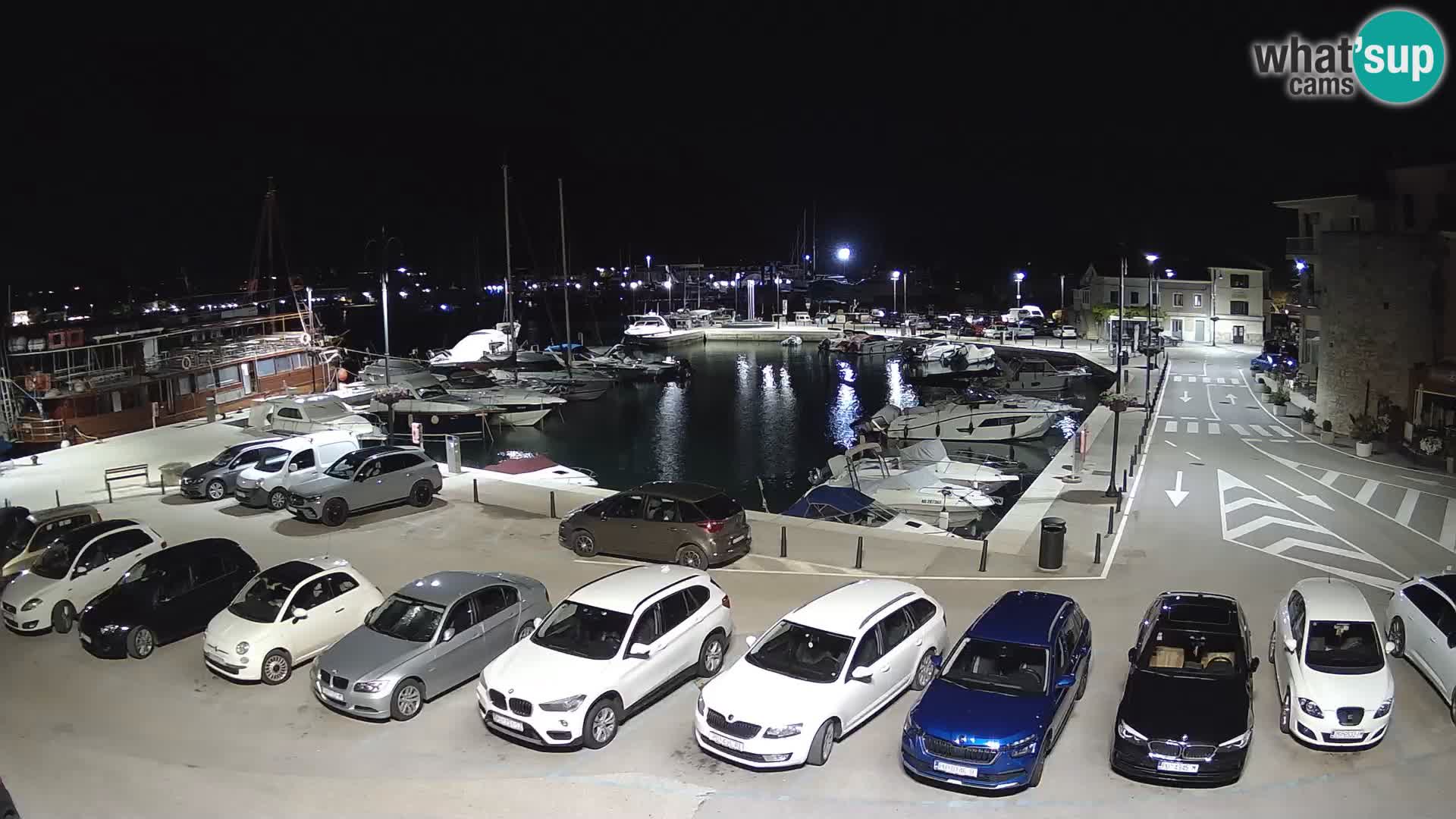 Novigrad | Porporela marina